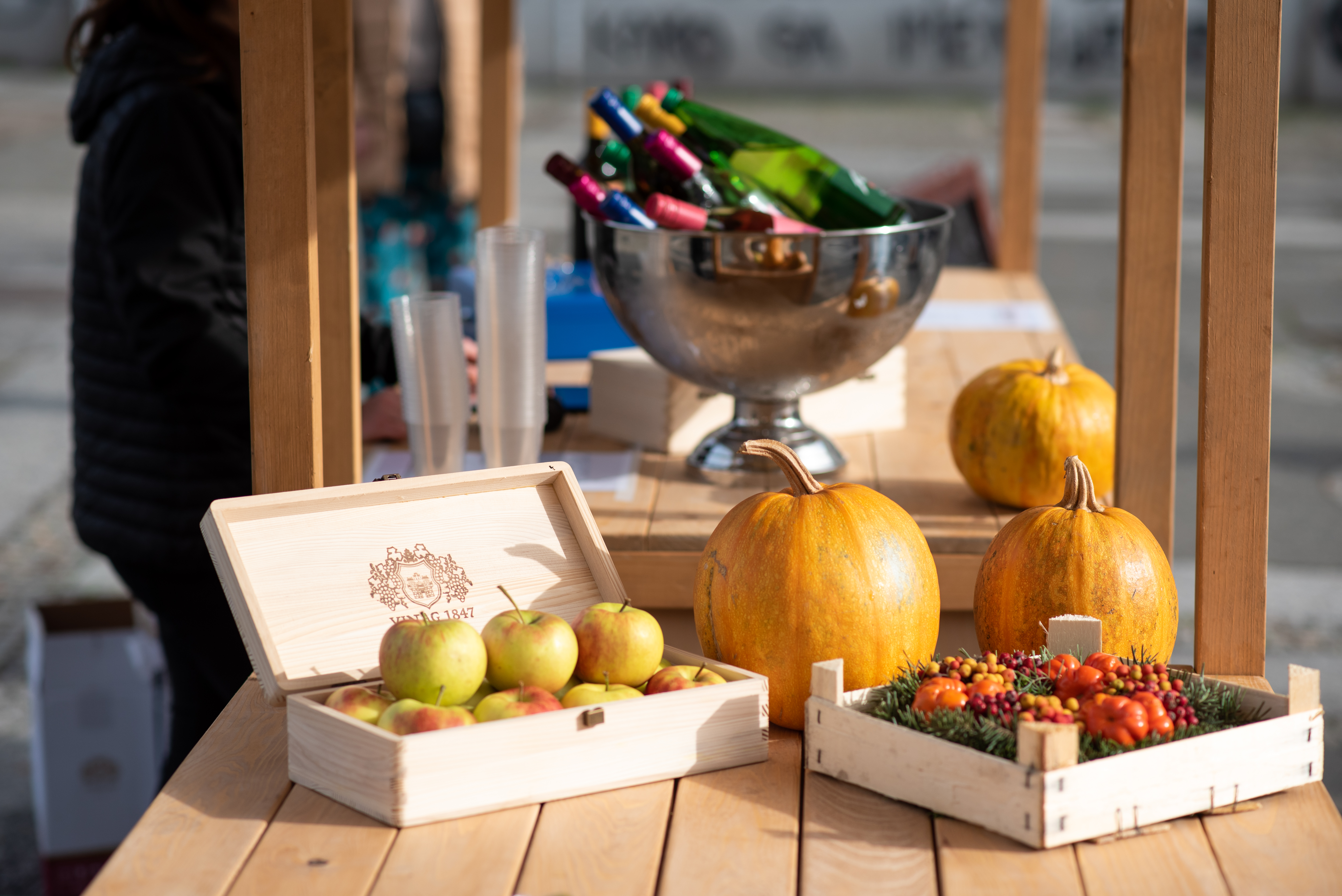 Martinovanje v Mariboru (Foto: Mediaspeed/ZAVOD ZA TURIZEM MARIBOR)
