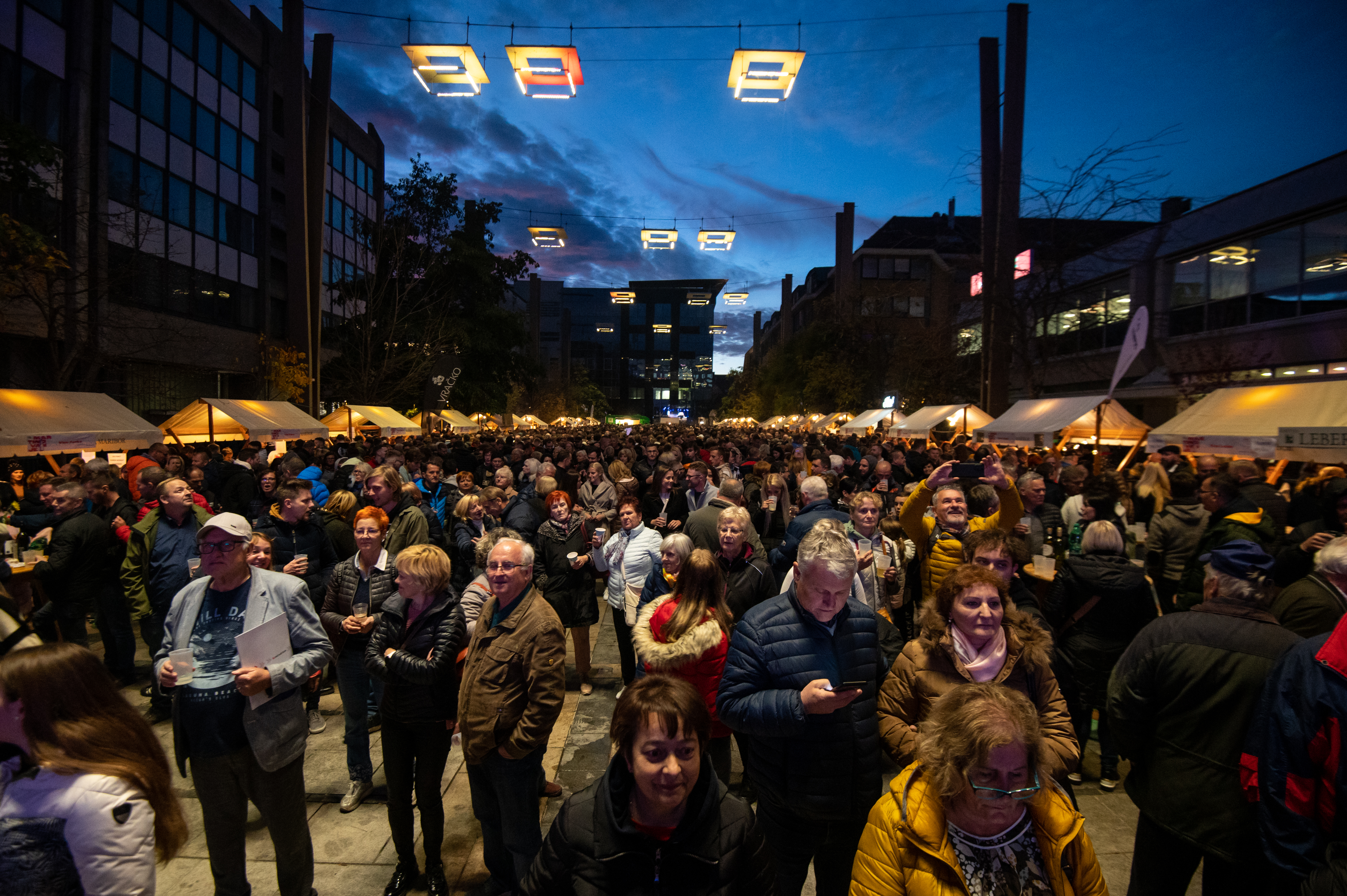 Maribor, martinovanje, martinovo-Pohorje_Slovenija_Slovenia_Mediaspeed (237)