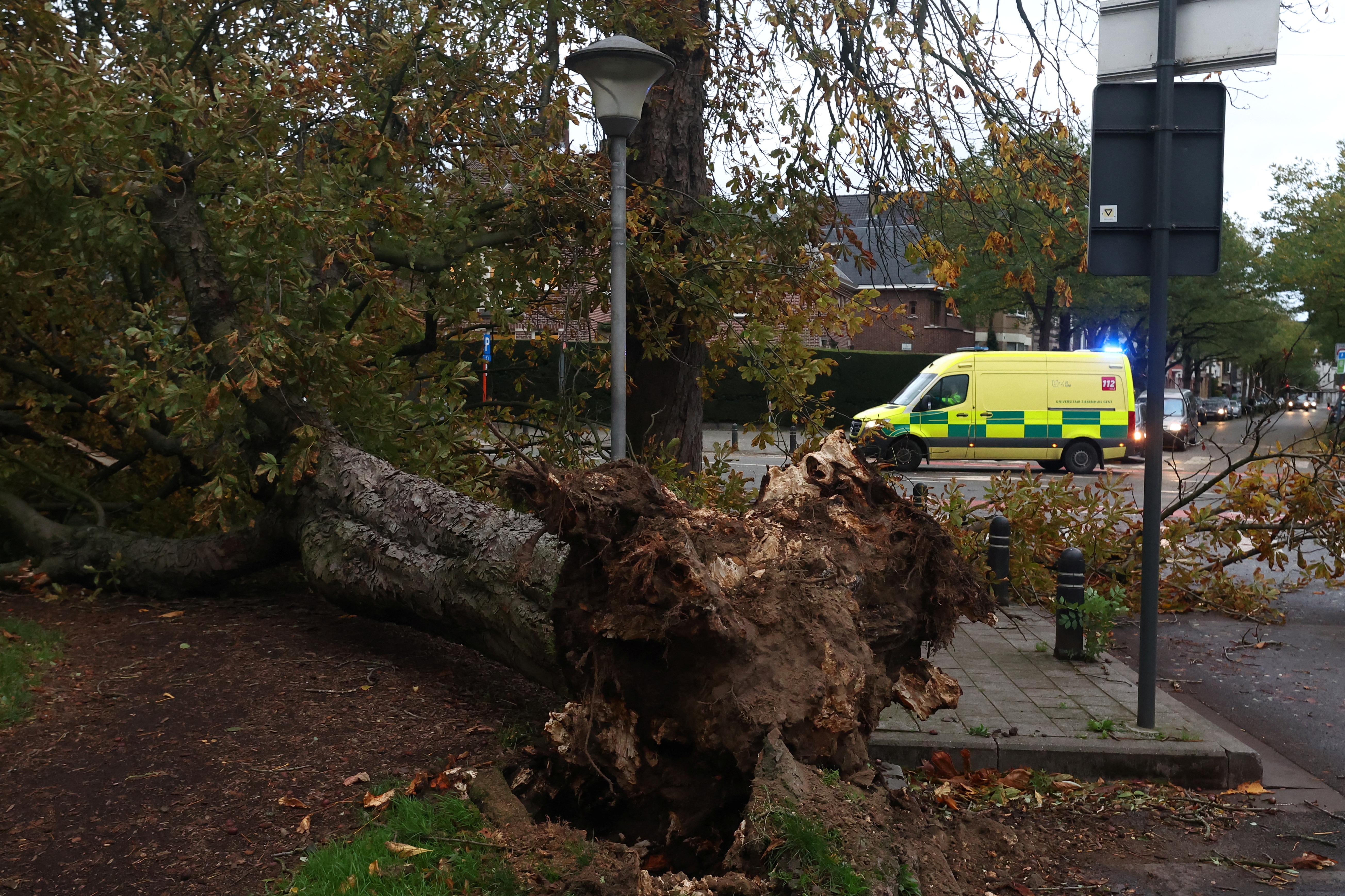 Storm Ciaran in Ghent