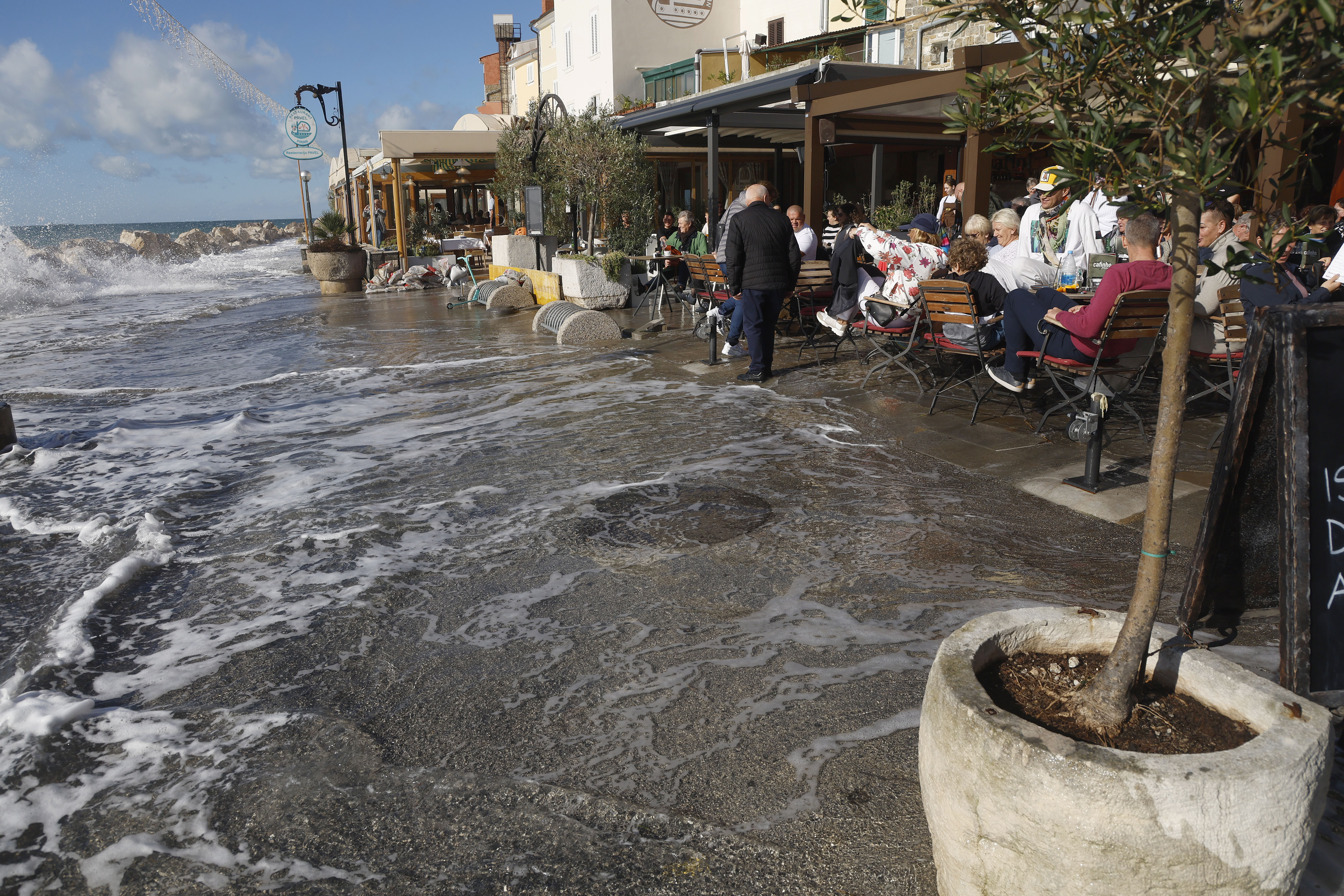 Foto: Borut Živulović/BOBO