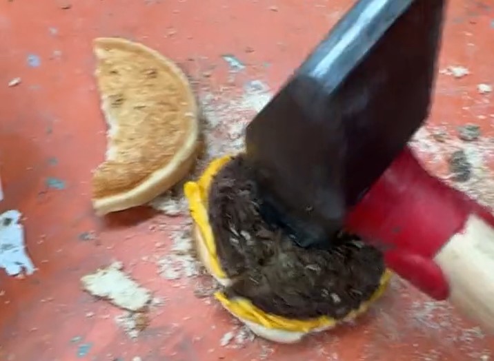 HAMBI Foto Zajem zaslona TIKTOK 2