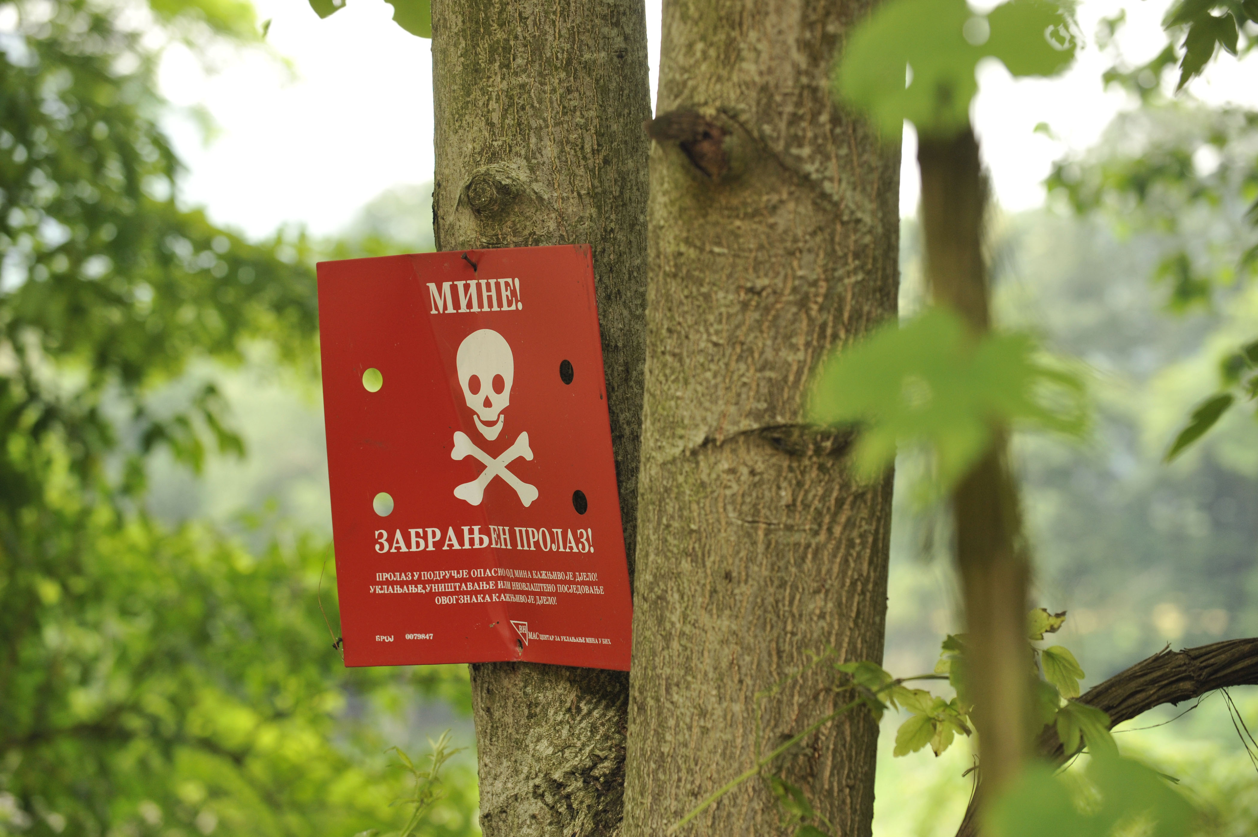 Foto: Žiga Živulović jr./BOBO