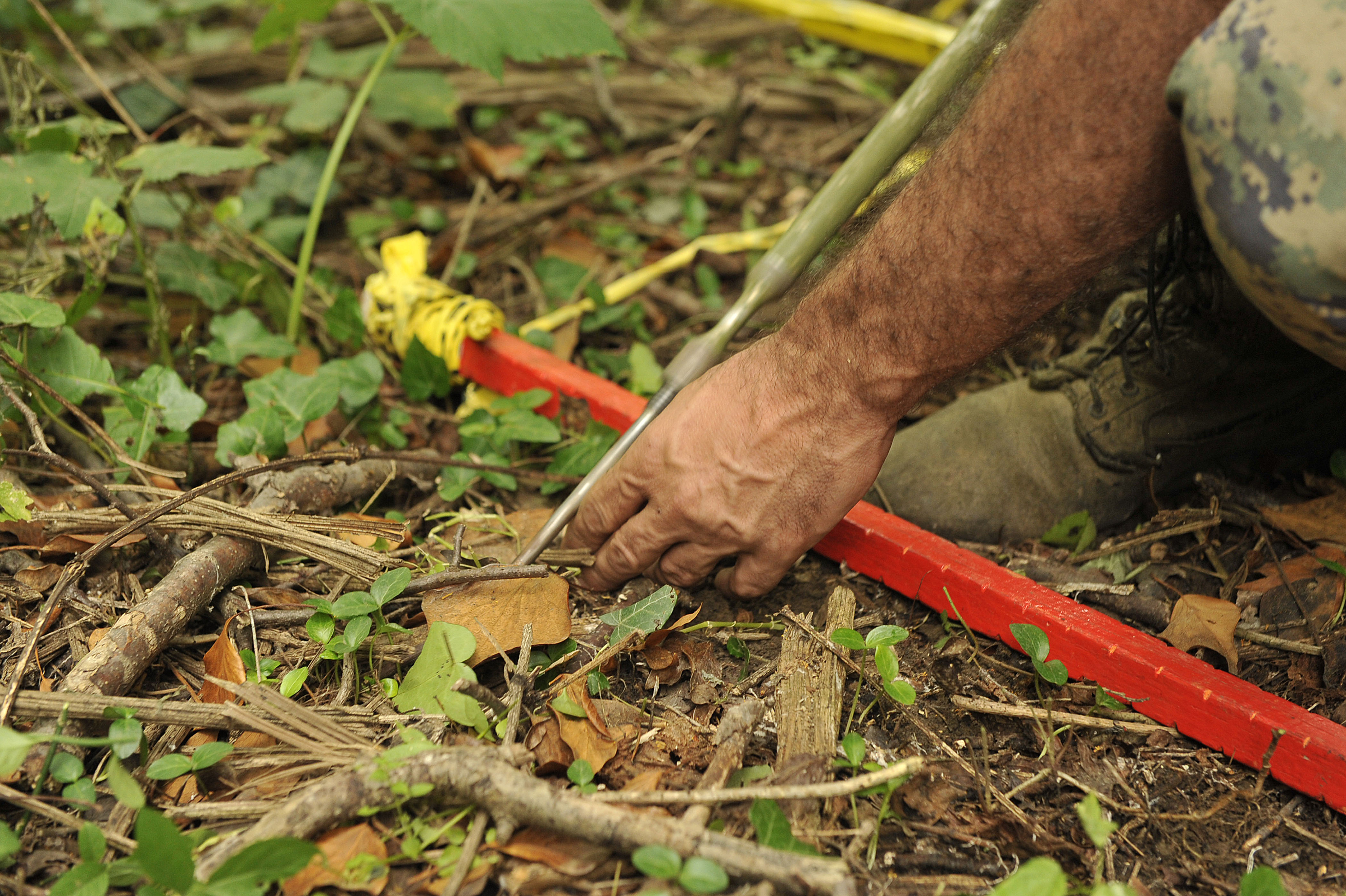 Foto: Žiga Živulović jr./BOBO