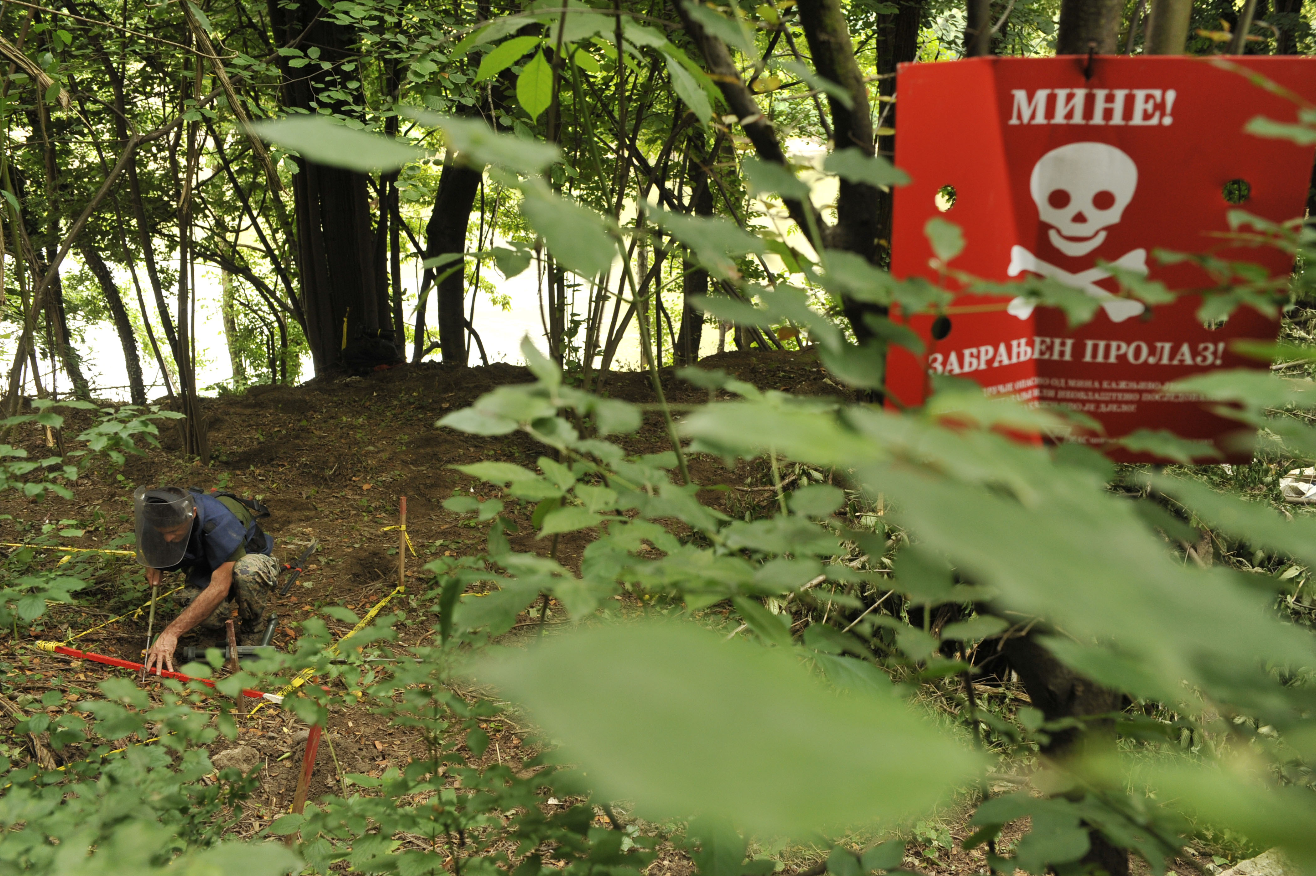 Foto: Žiga Živulović jr./BOBO