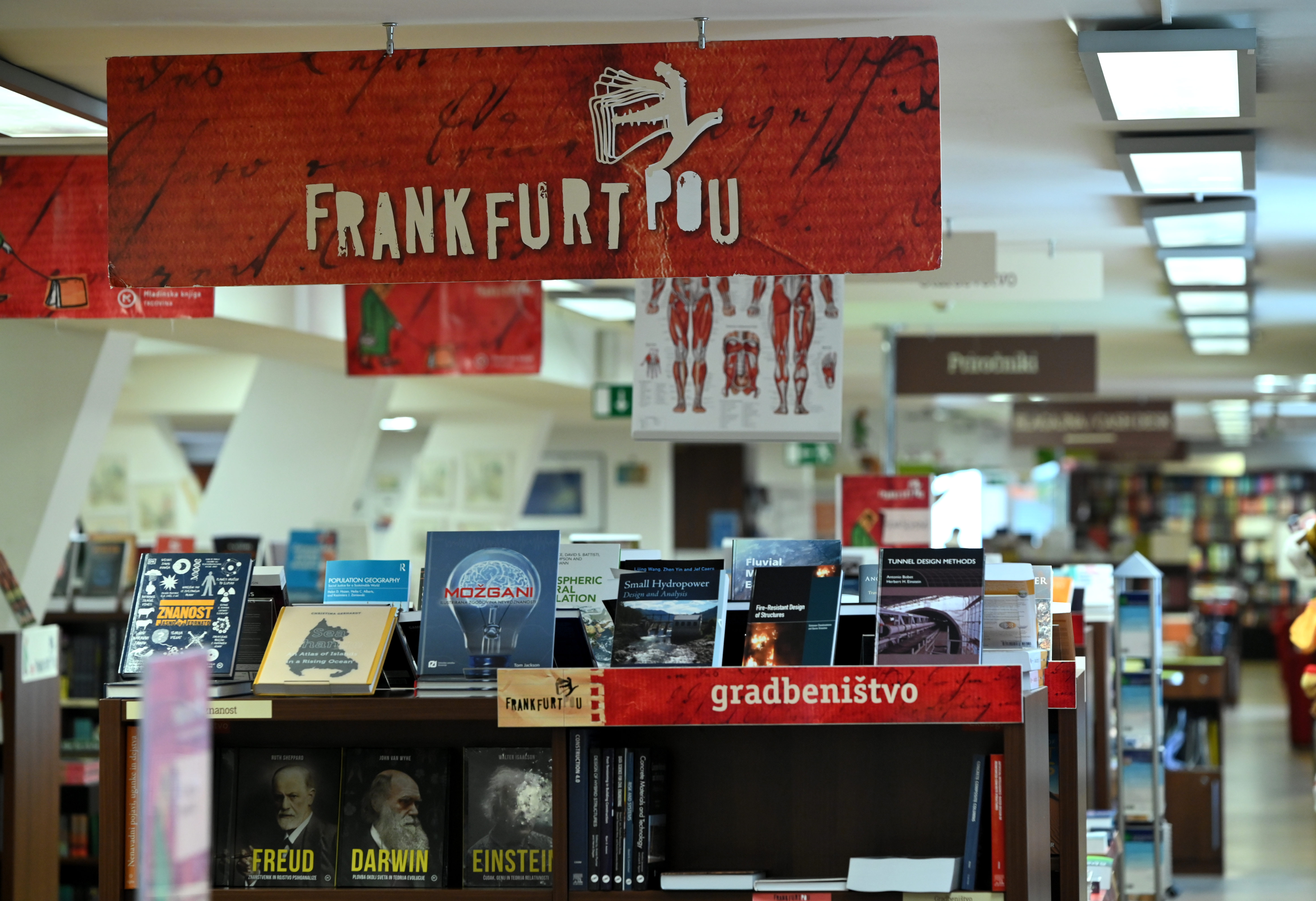 Frankfurt po Frankfurtu, konzorcij, razstava