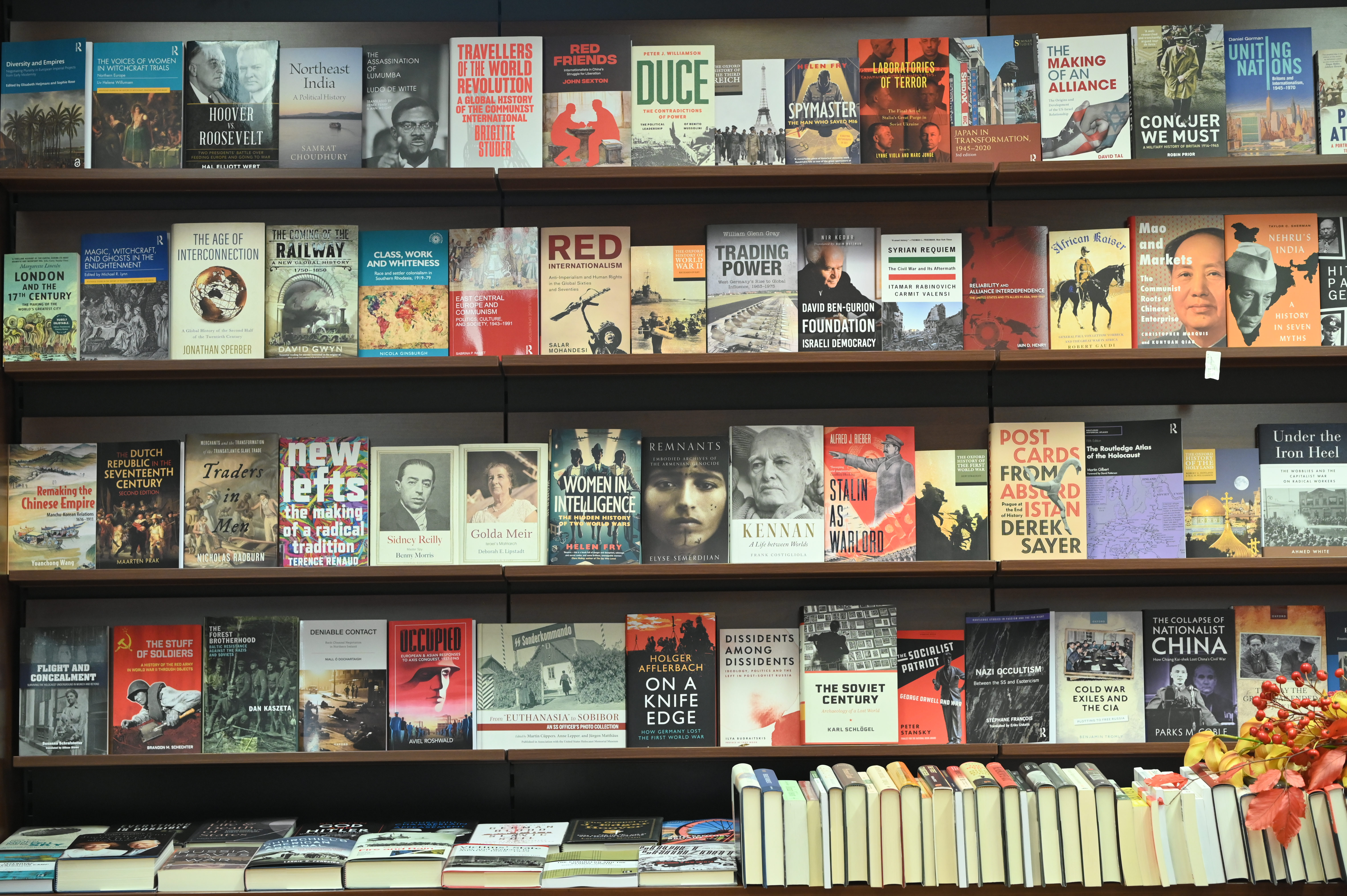 Frankfurt po Frankfurtu, konzorcij, knjige