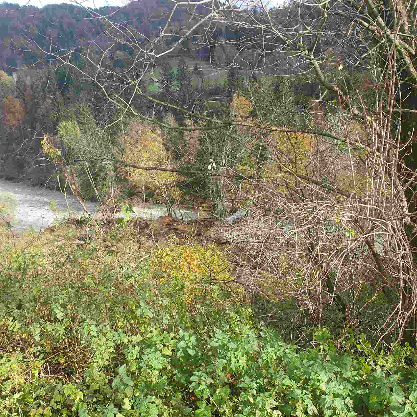 plaz pri vojašnici na Bohinjski Beli