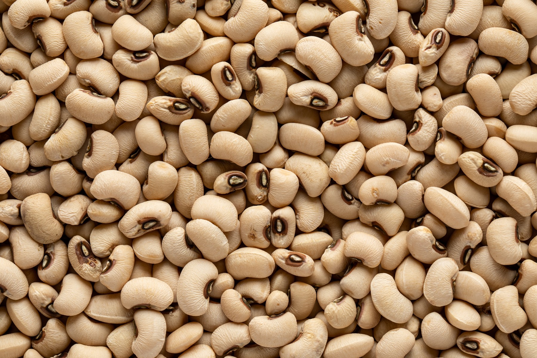 črnooki fižol, odpoklic