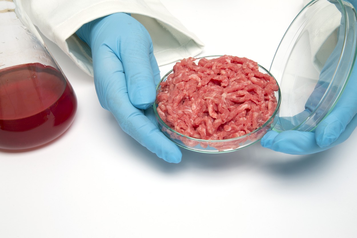 sintetična hrana, umetno meso