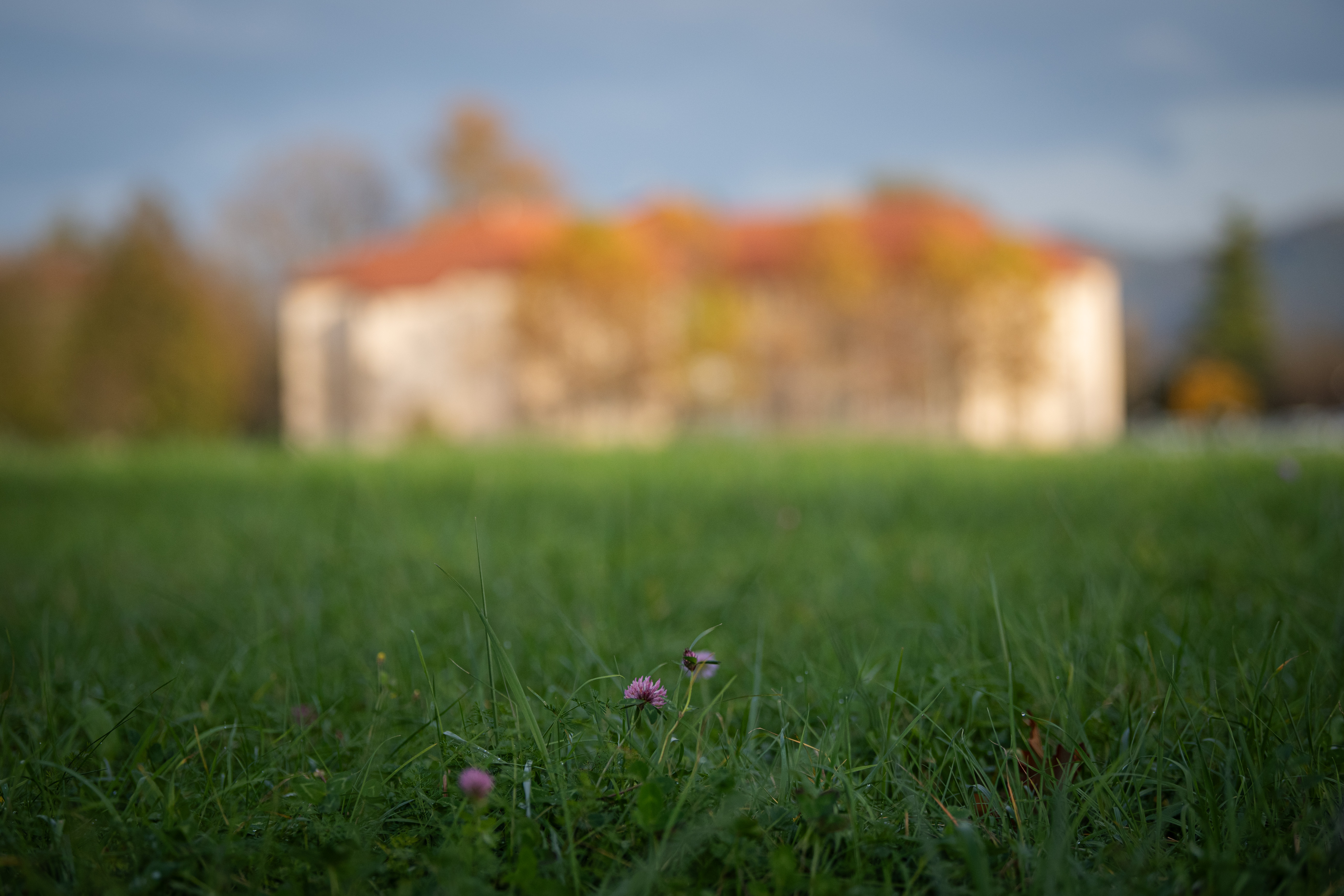 Psihiatrična klinika Ljubljana
