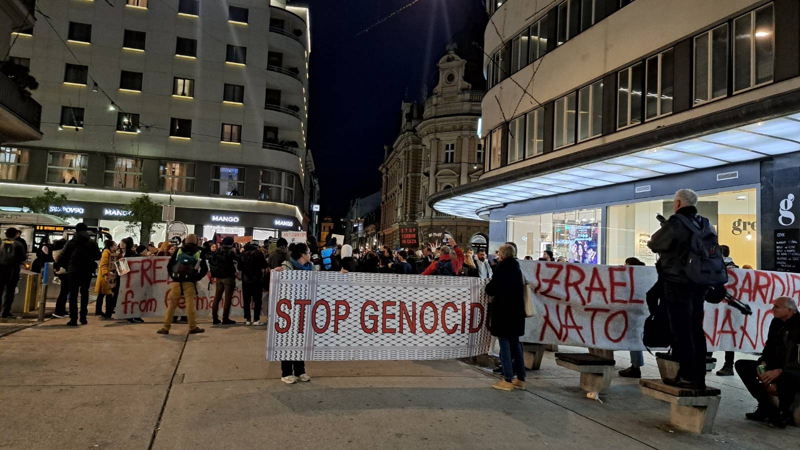 Shod za Palestino (Foto: N1)