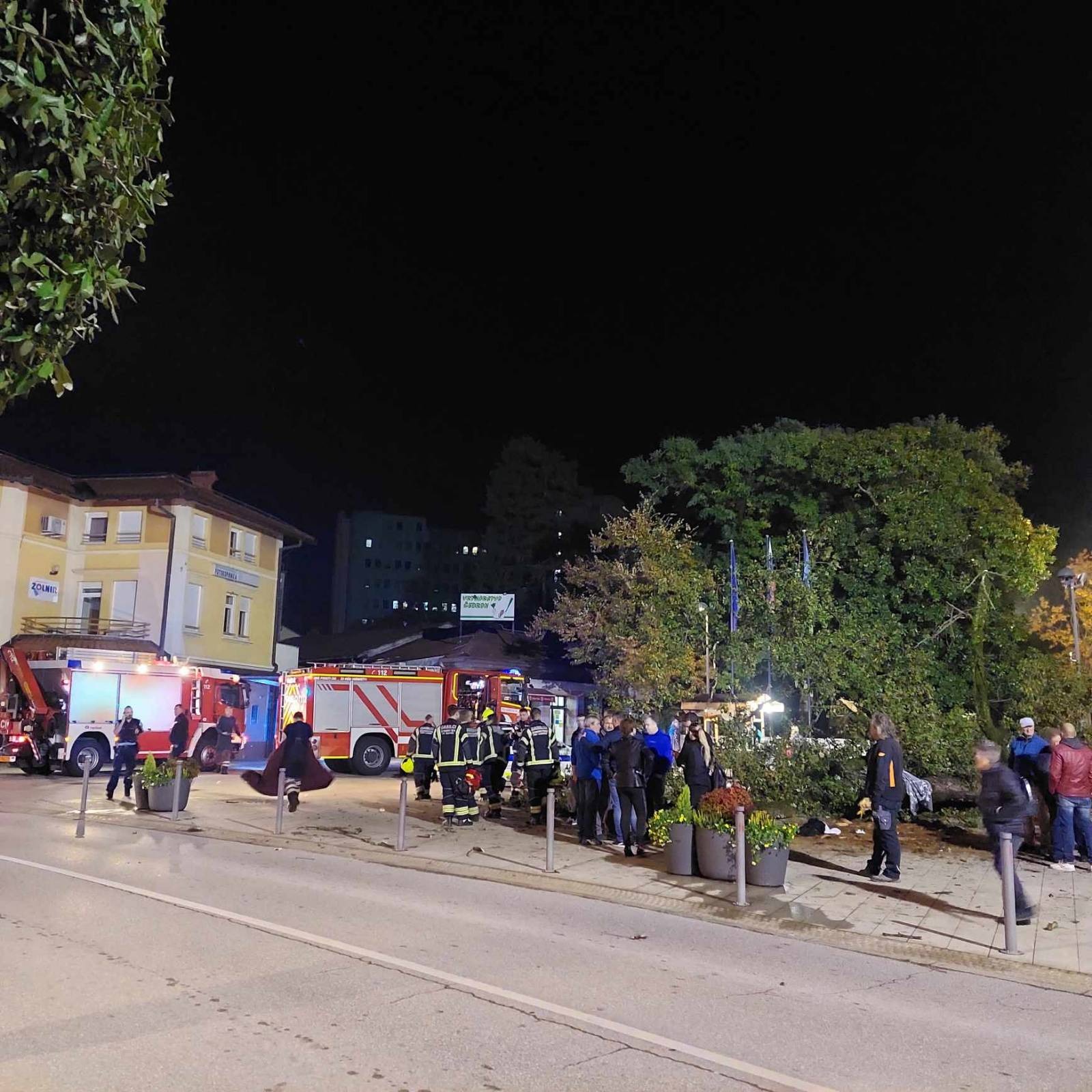 Lipa, drevo, šempeter pri gorici