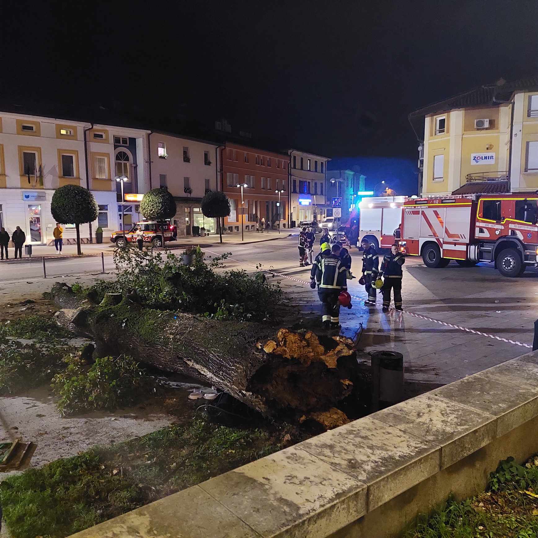 Lipa, drevo, šempeter pri gorici