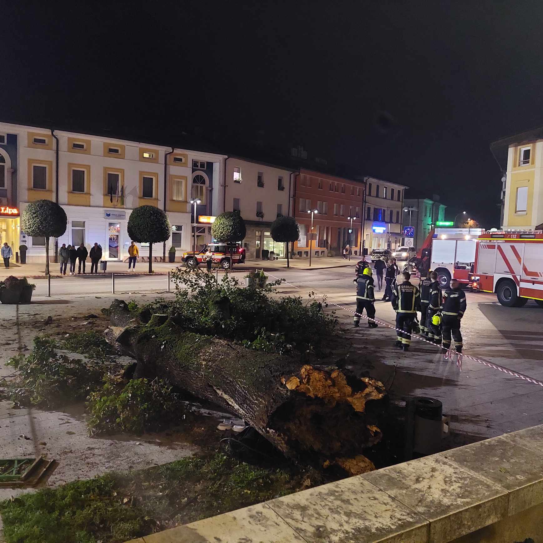 Lipa, drevo, šempeter pri gorici