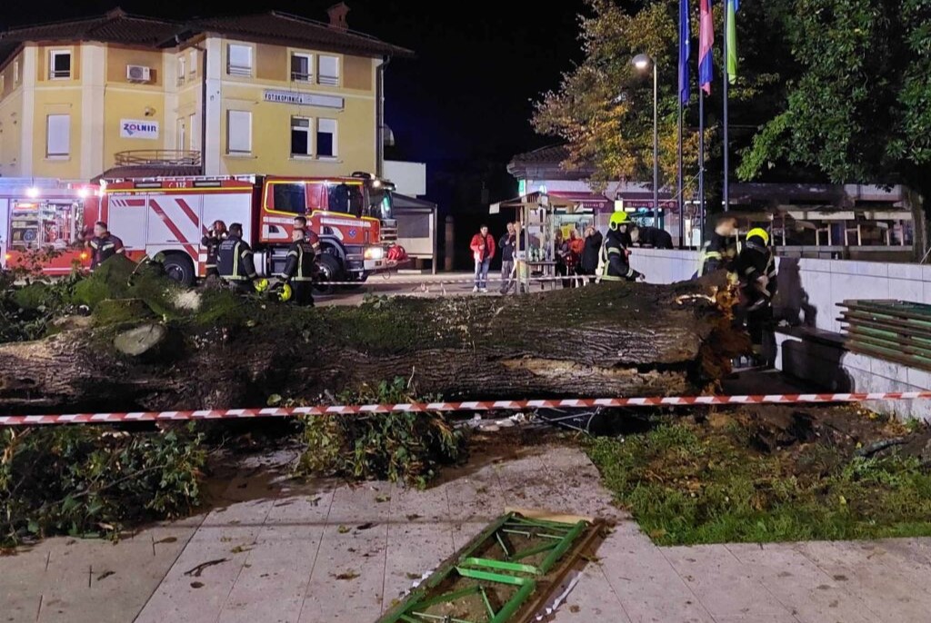 Lipa, drevo, šempeter pri gorici