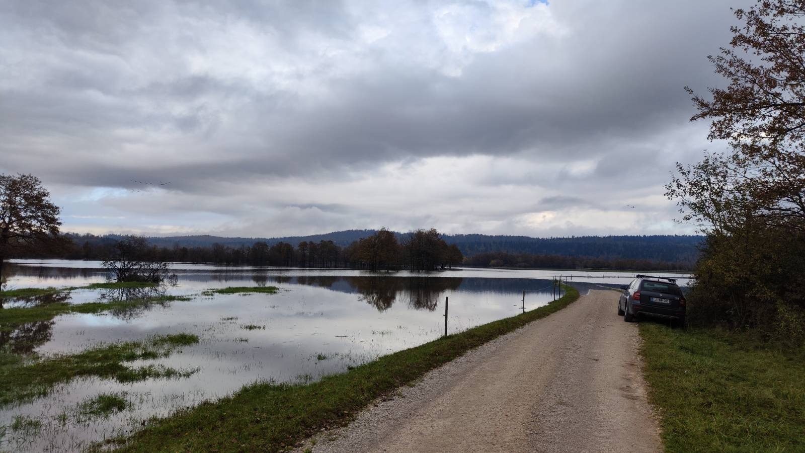 Kraška polja so bolj ojezerjena kot sicer (Foto: N1)