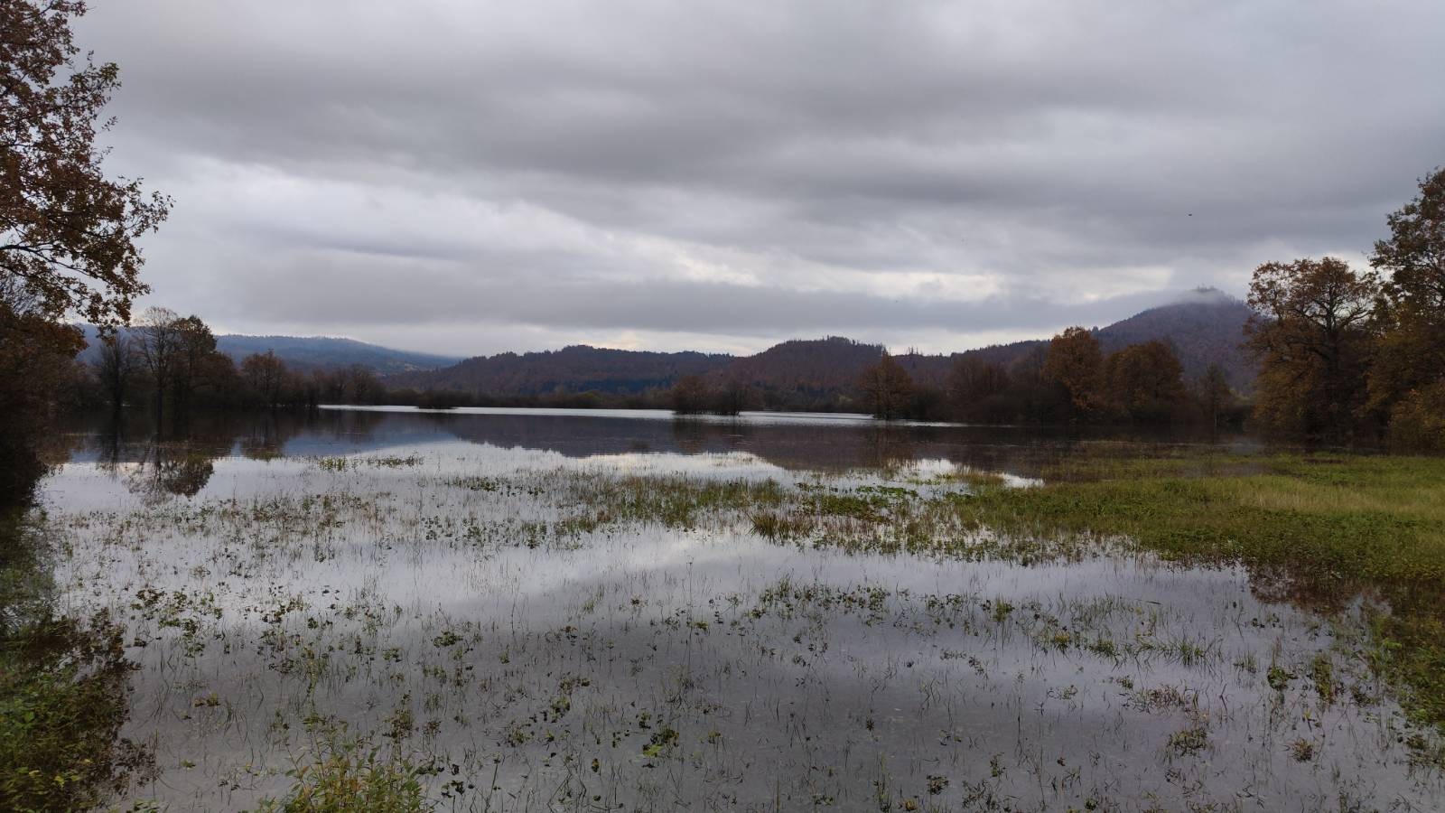 Kraška polja so bolj ojezerjena kot sicer (Foto: N1)