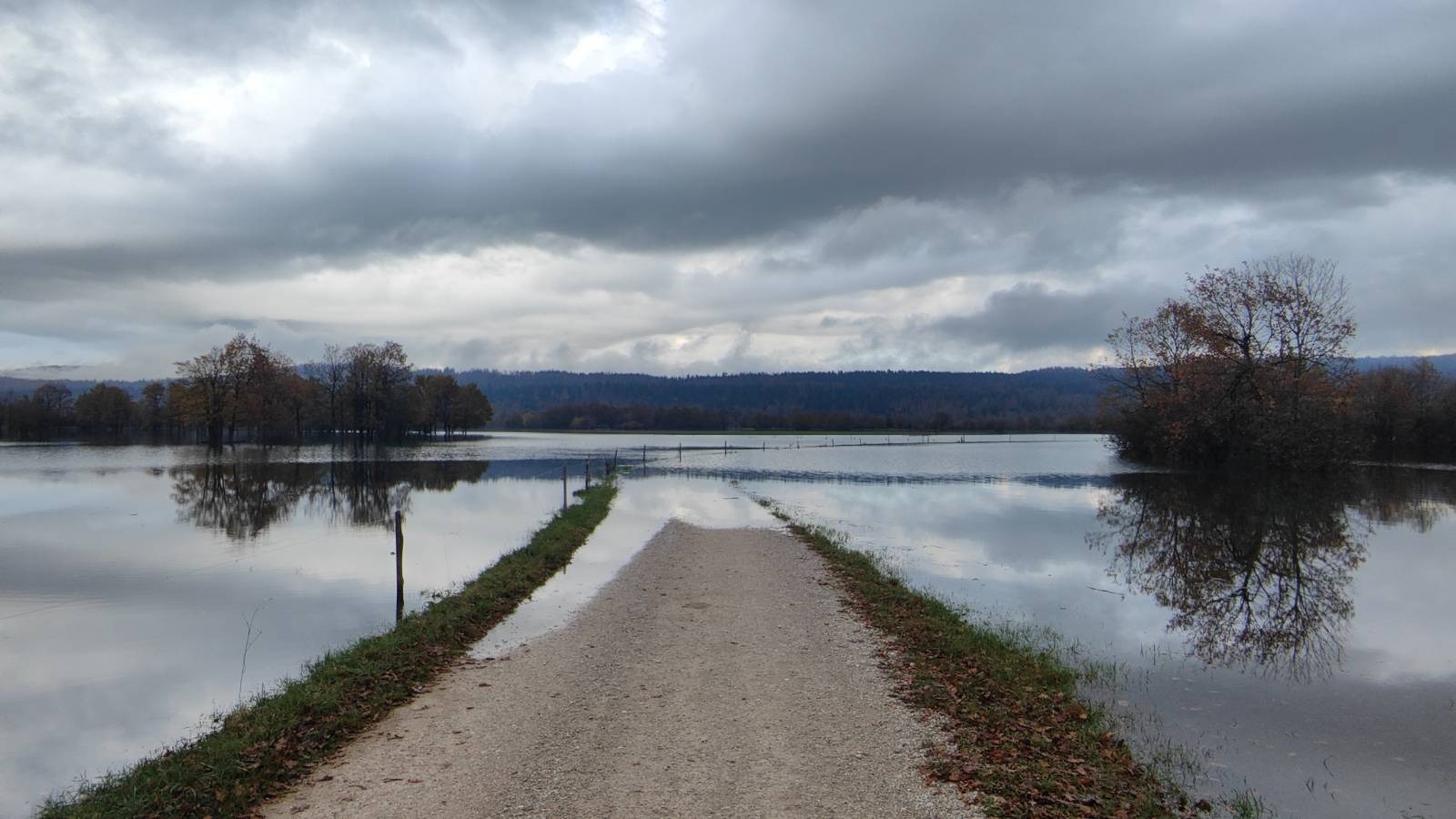 Kraška polja so bolj ojezerjena kot sicer (Foto: N1)