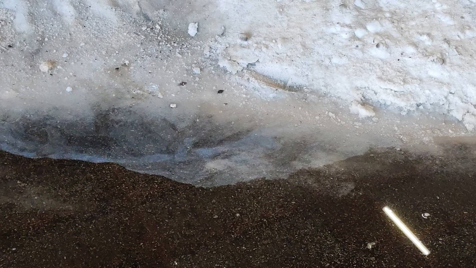 Foto: Egon Parteli/N1