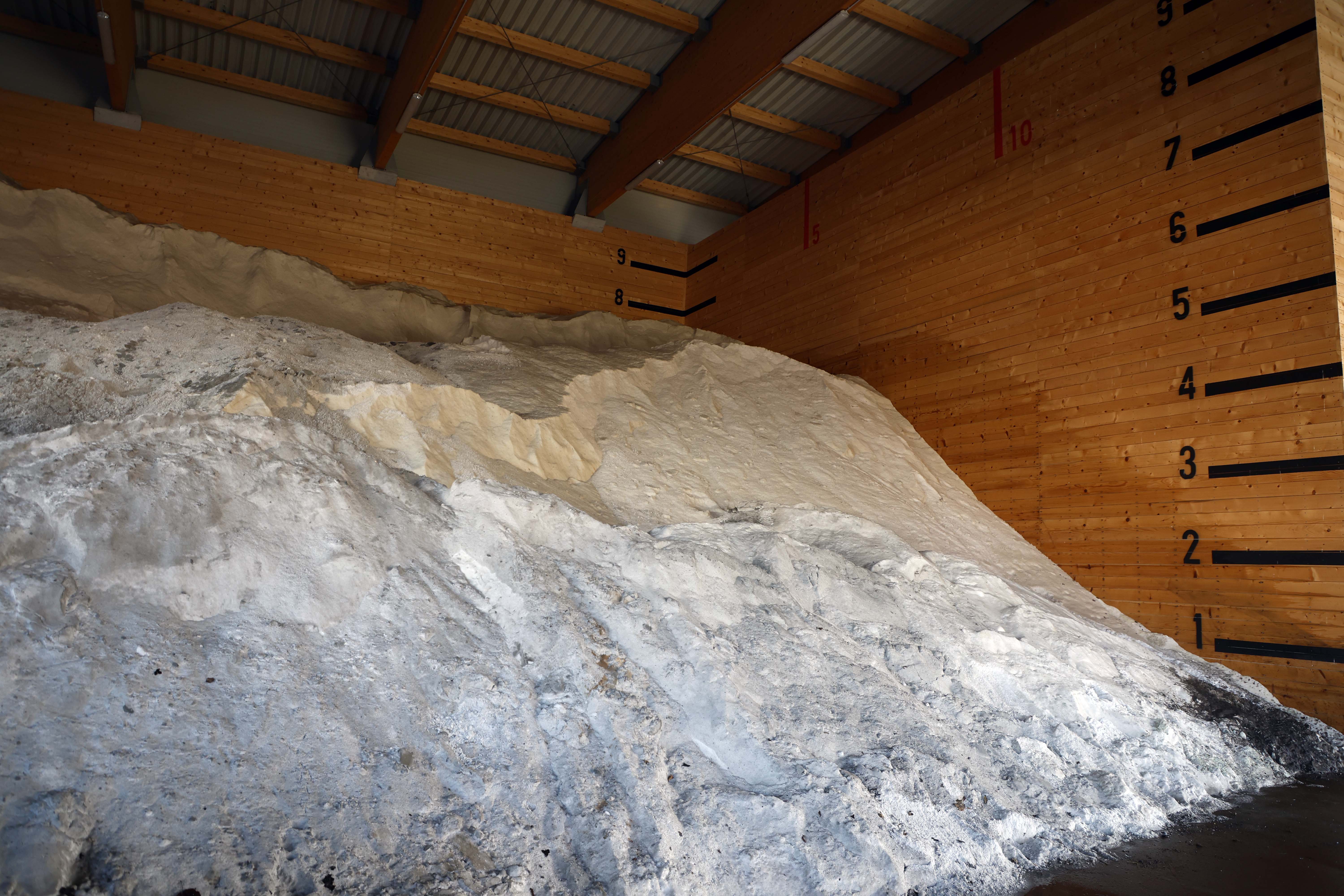 Foto: Borut Živulović/BOBO