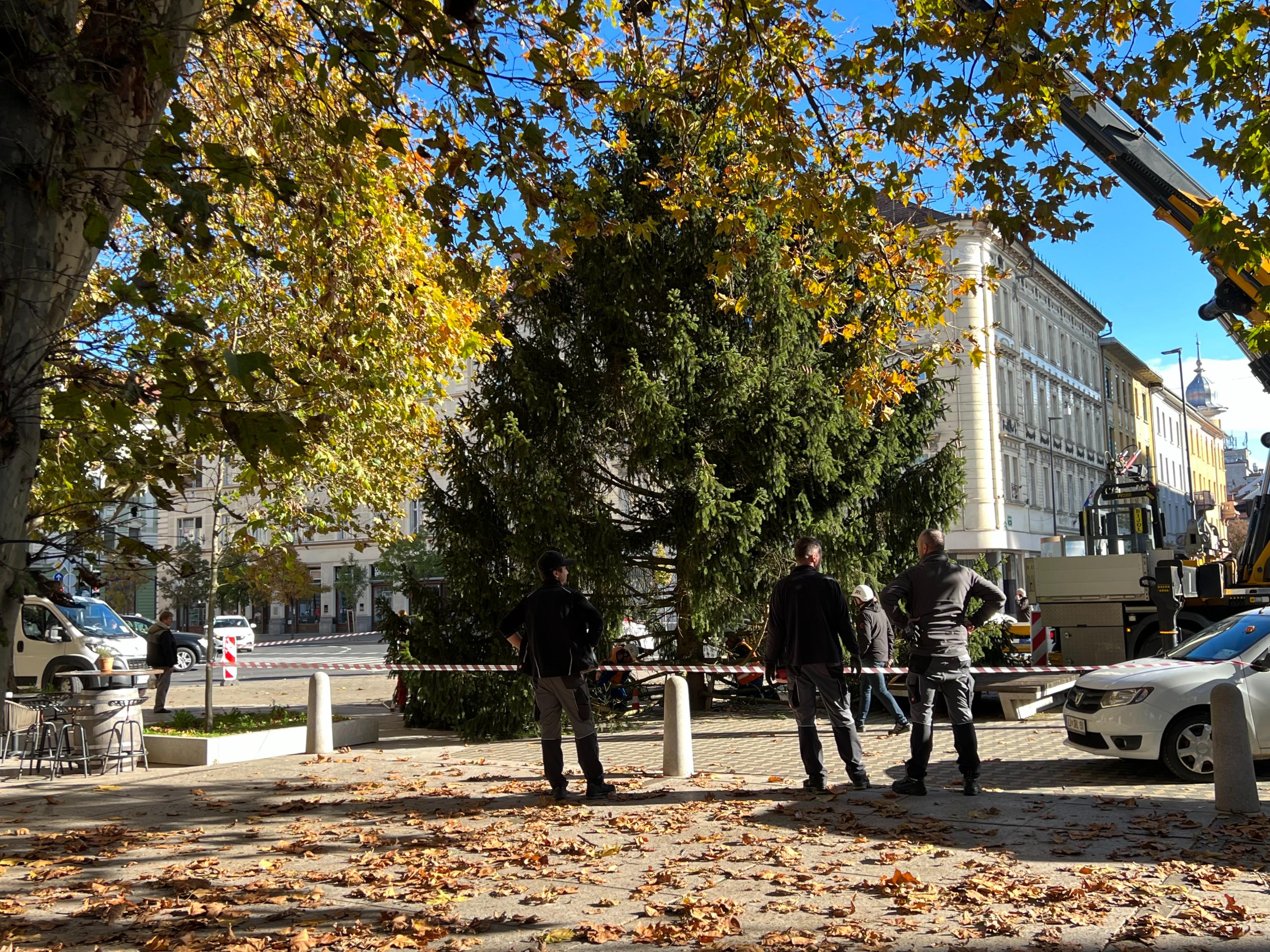 JELKA, CENTER, LJUBLJANA