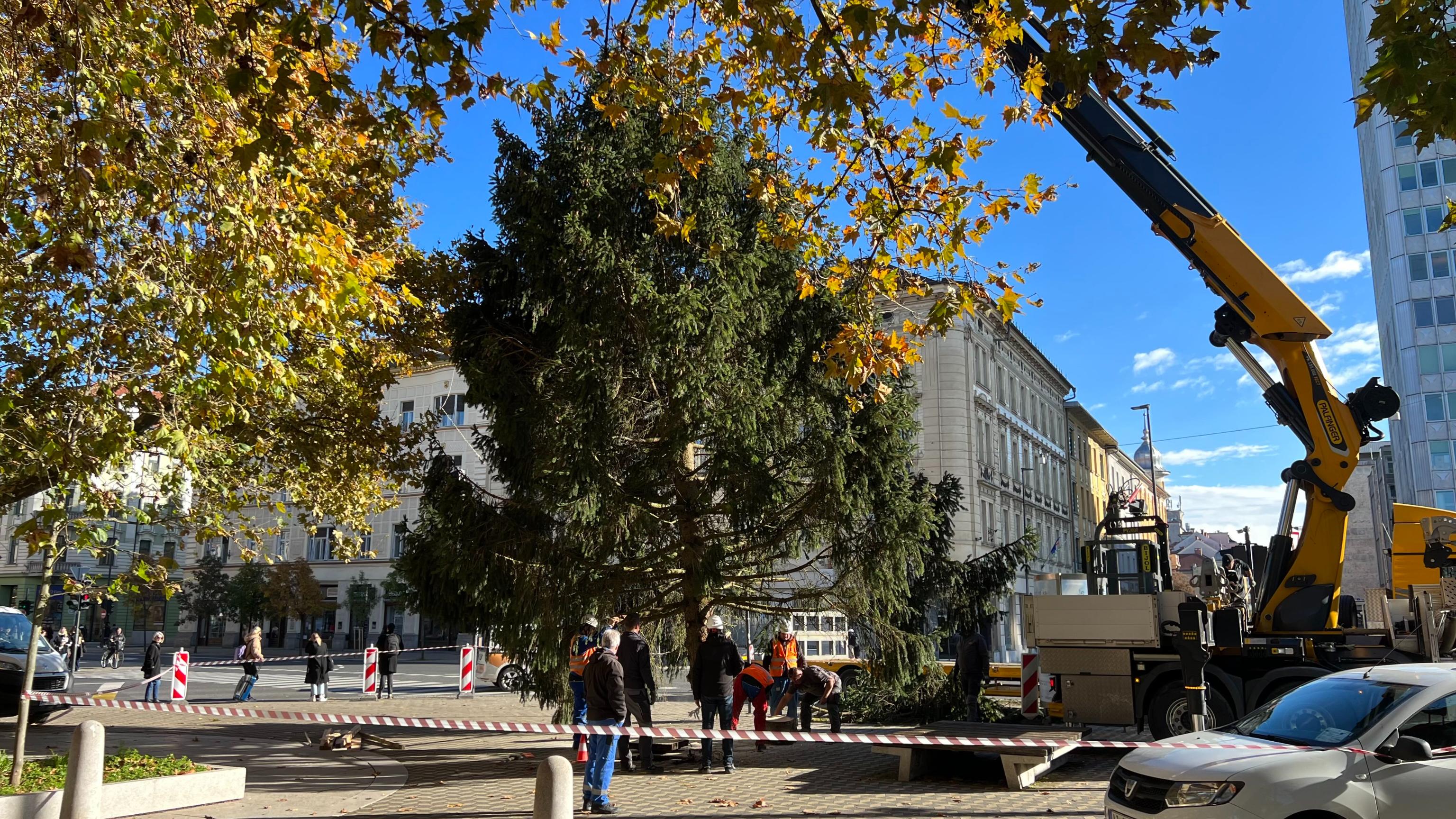 JELKA, CENTER, LJUBLJANA