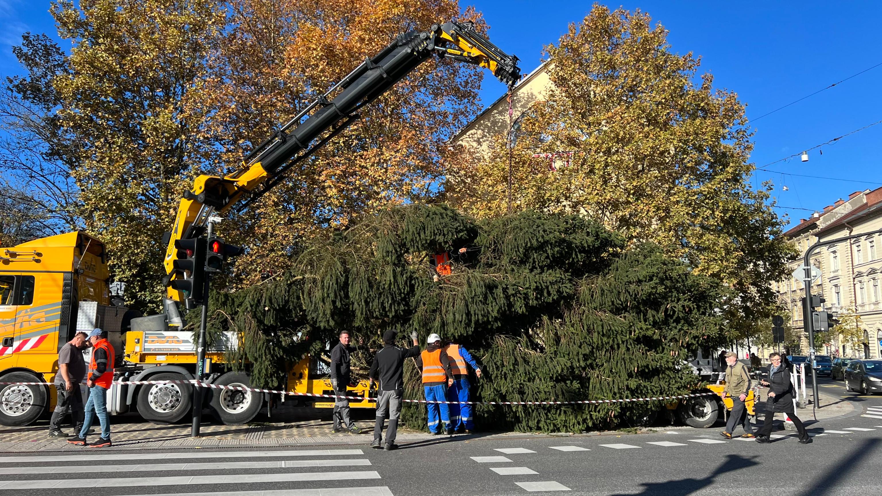 JELKA, CENTER, LJUBLJANA