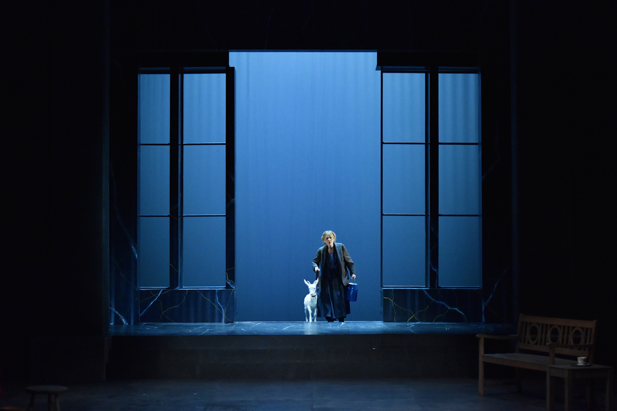 antigona, milena zupančič, koza bina