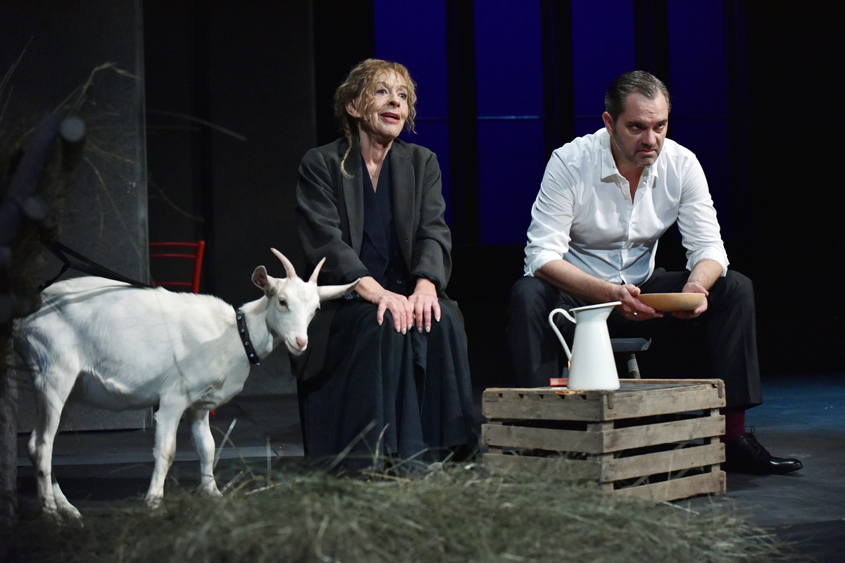 milena zupančič, antigona, jurij zrnec, sng drama