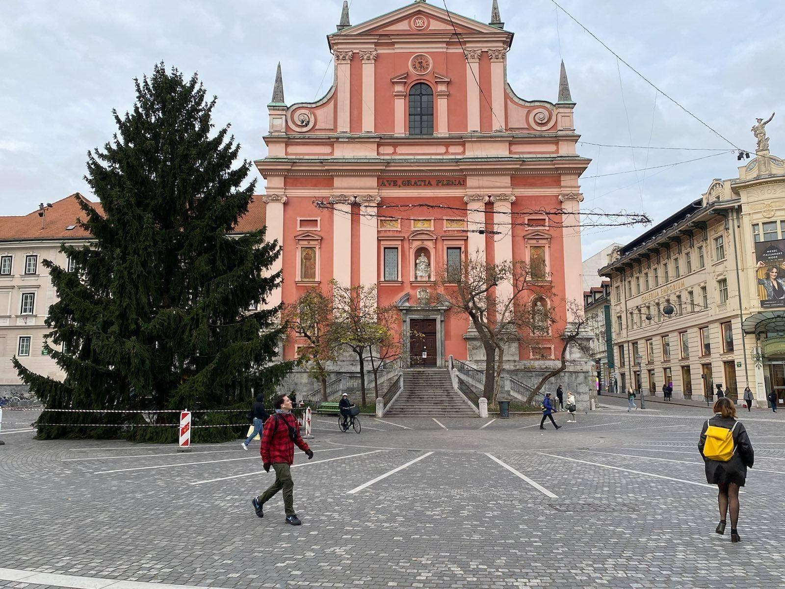 smreka, prešernov trg, okrasitev, praznična ljubljana, smreka tina