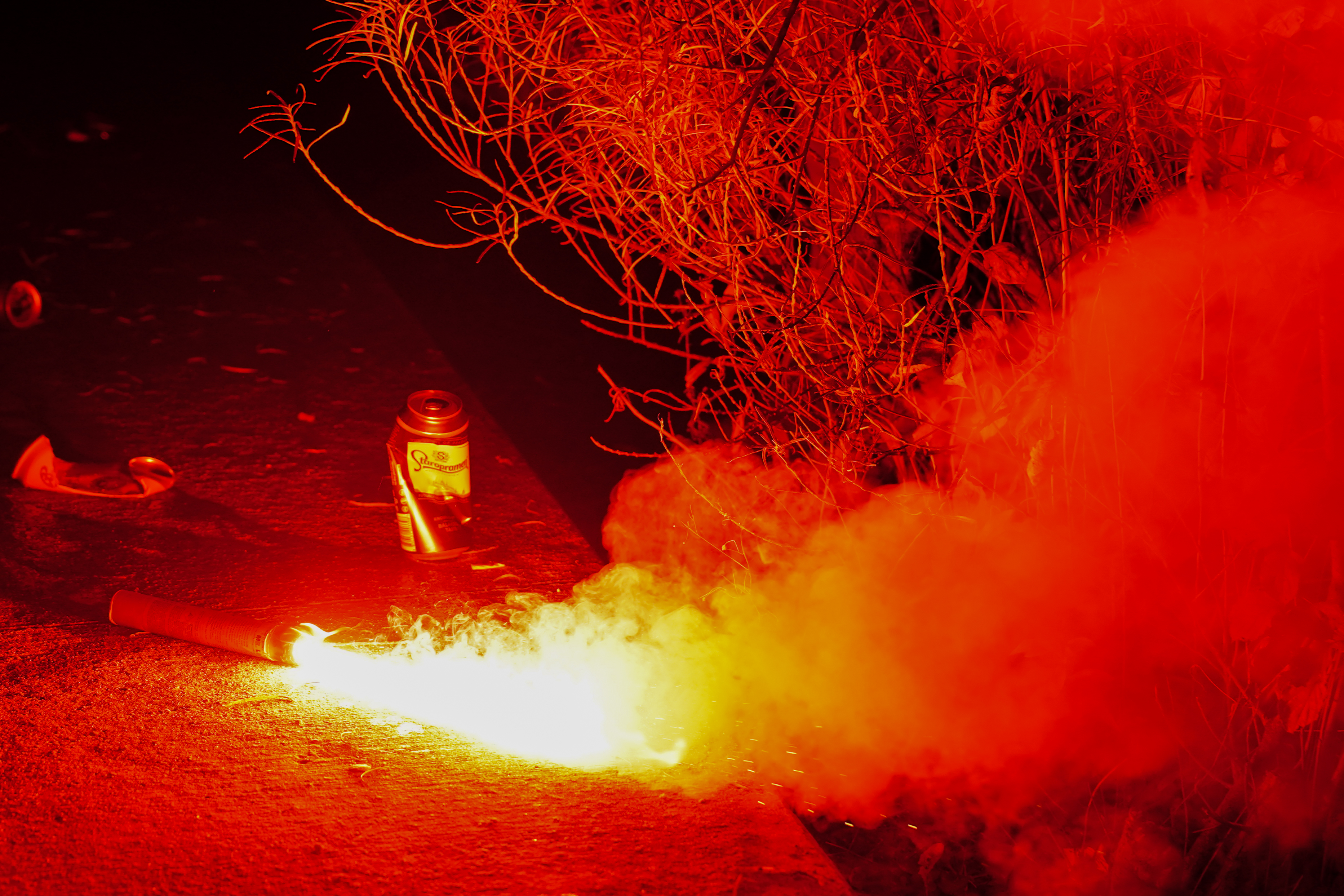 Foto: Uroš Kokol/N1