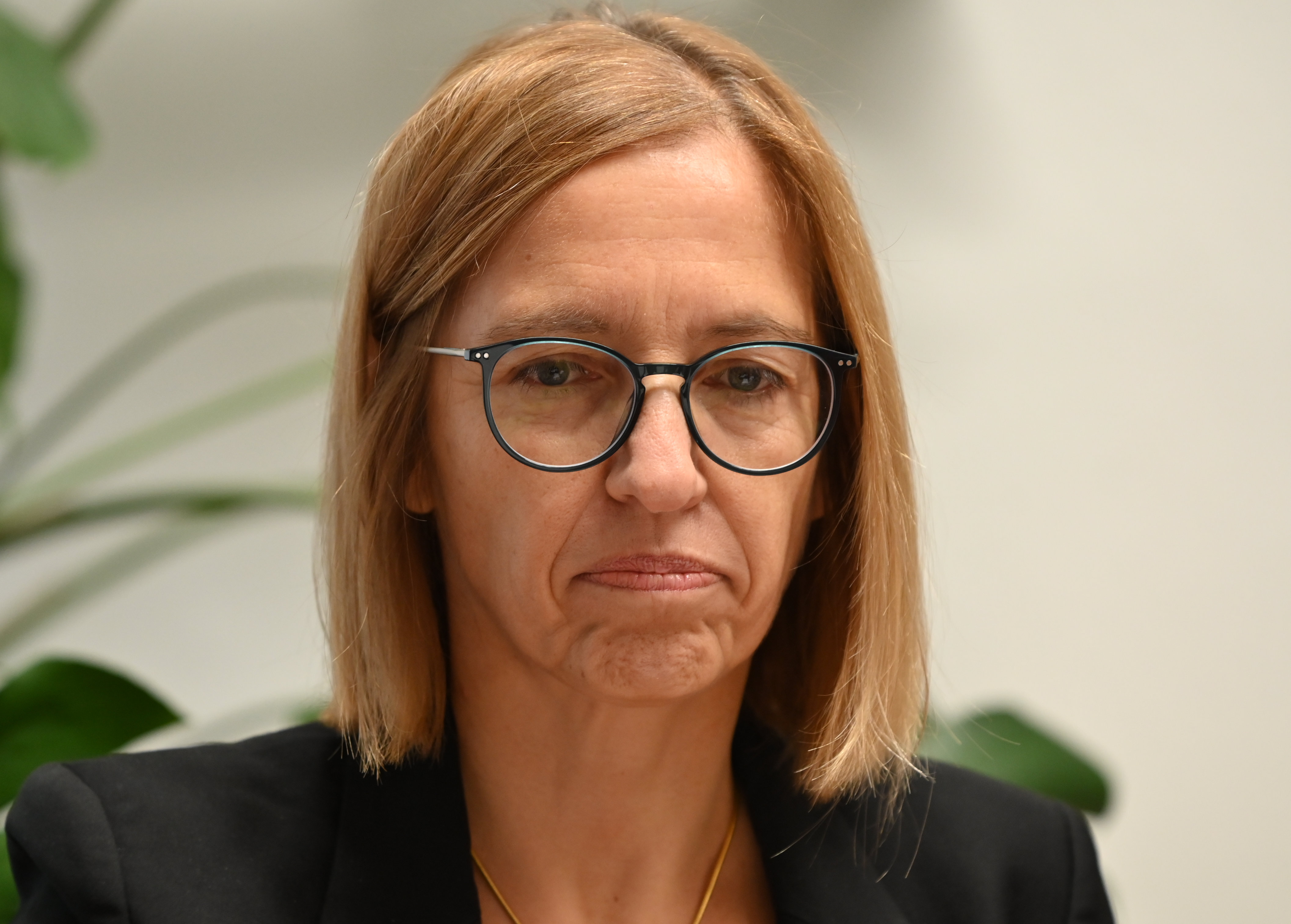 Valentina Prevolnik Rupel