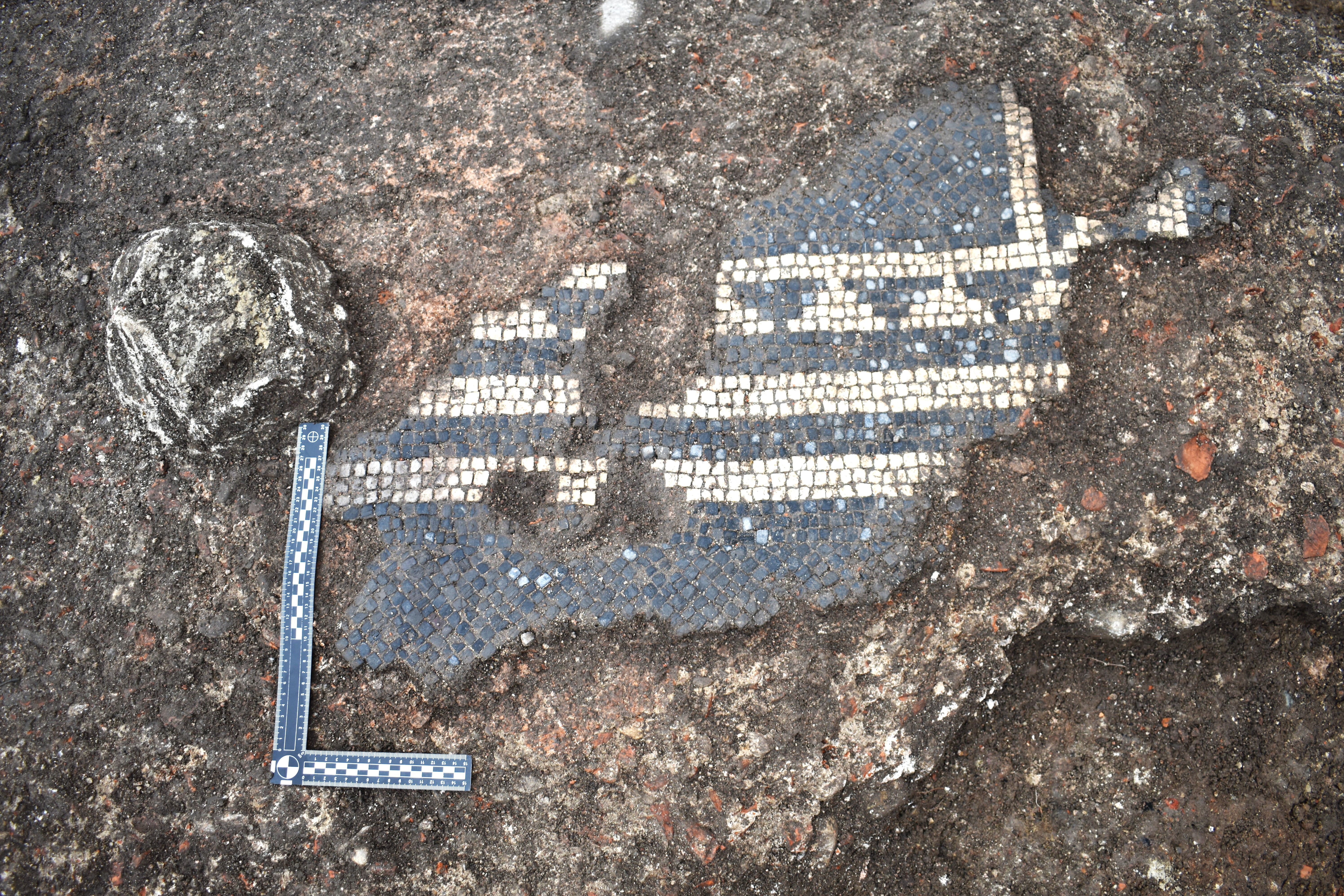 Talni mozaik (Foto: Maja Lavrič/ZVKDS)