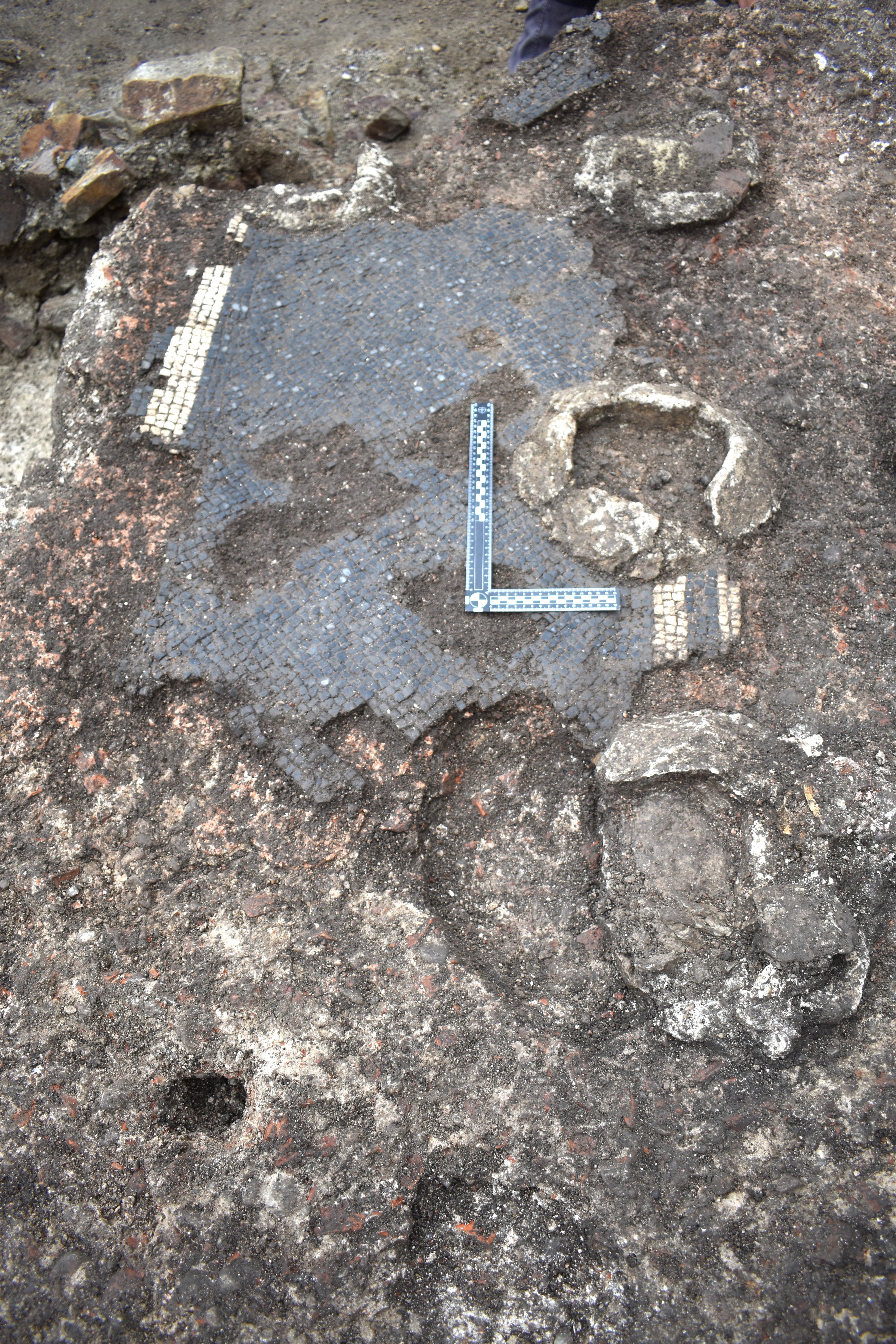 Talni mozaik (Foto: Maja Lavrič/ZVKDS)