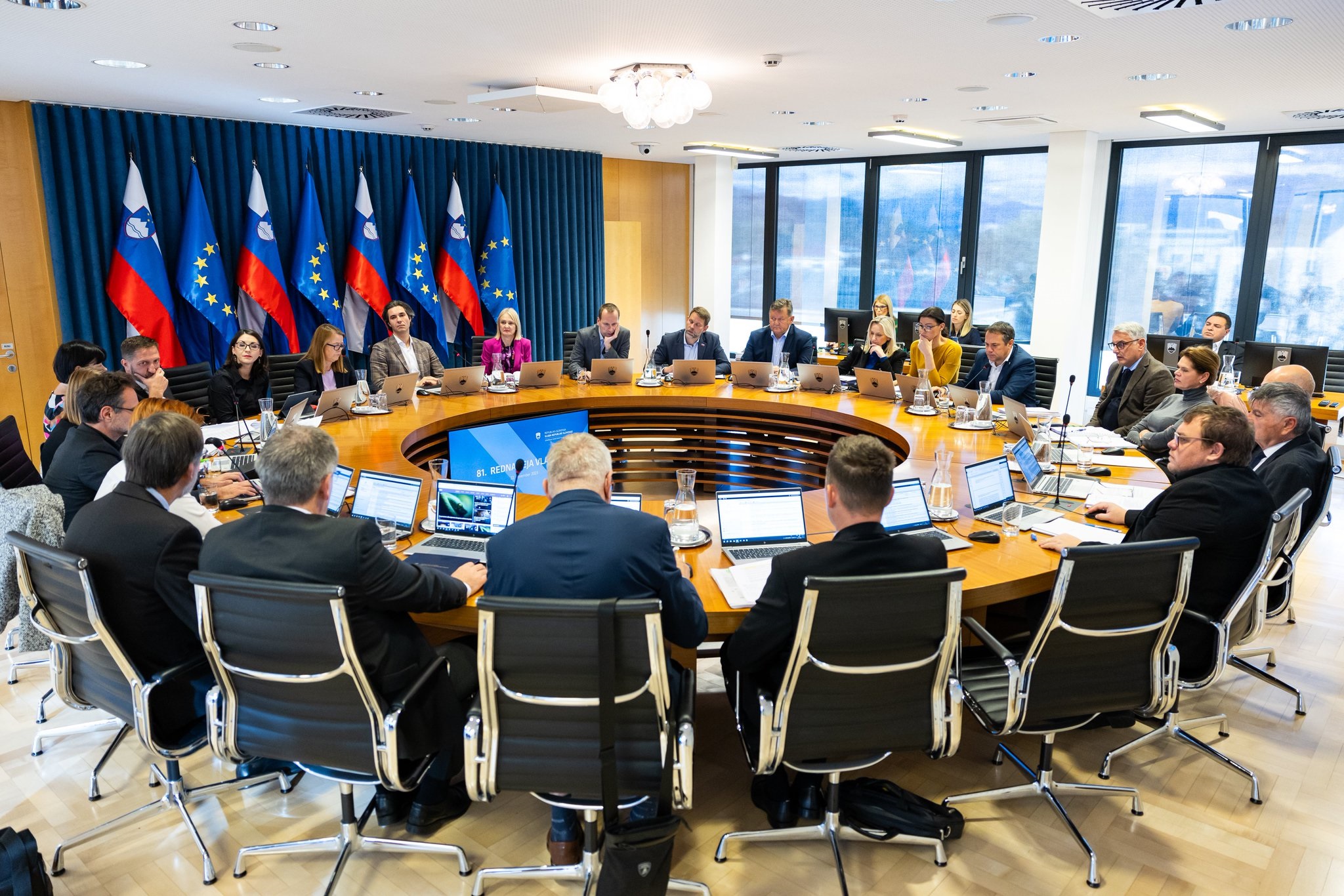 Luka Mesec, vlada, seja