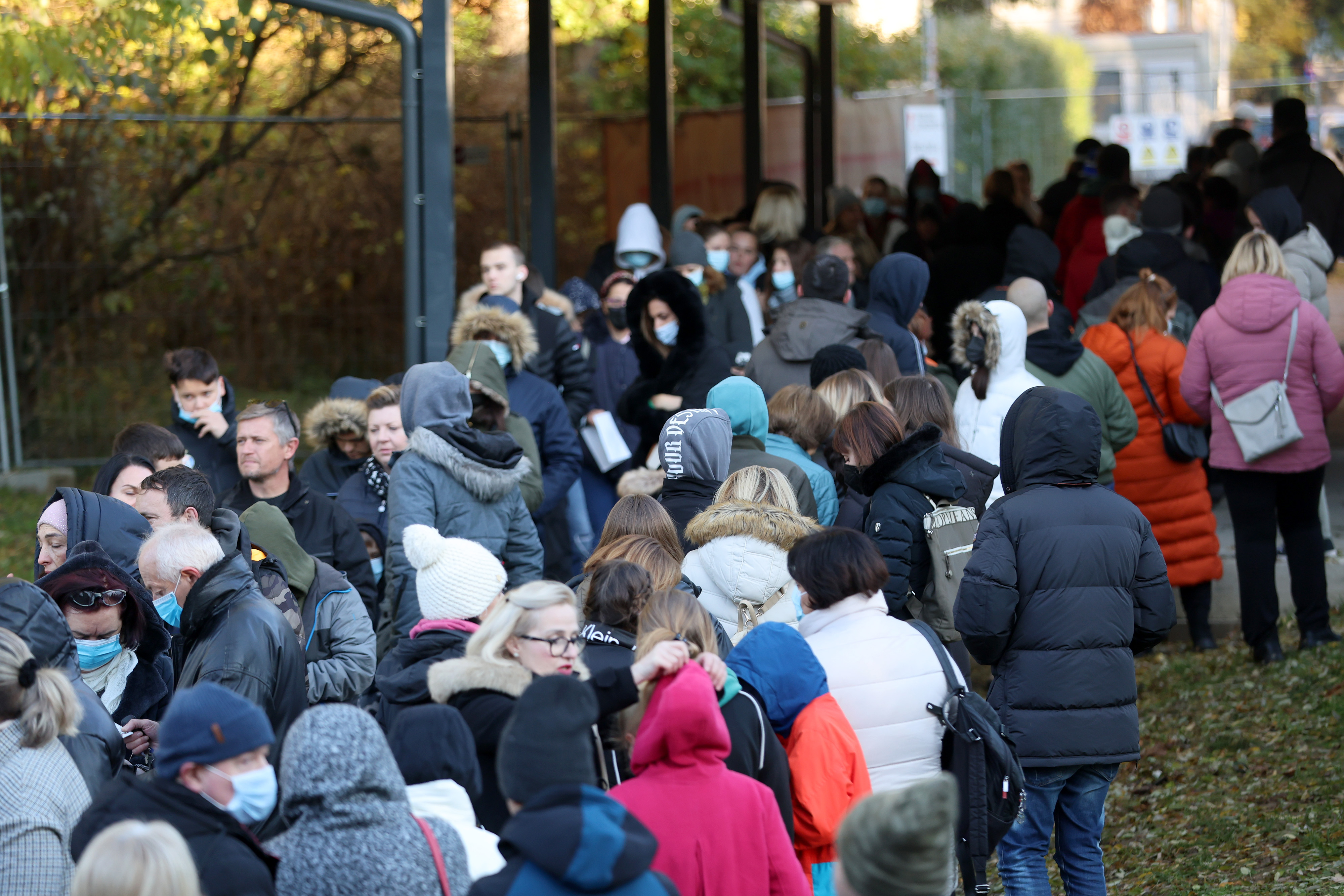 Gneča za testiranje na oslovski kašelj