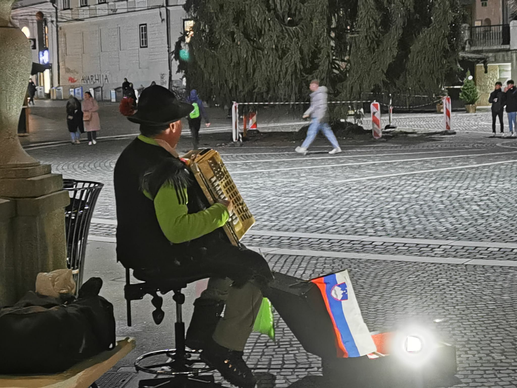 glasbenik, harmonikar