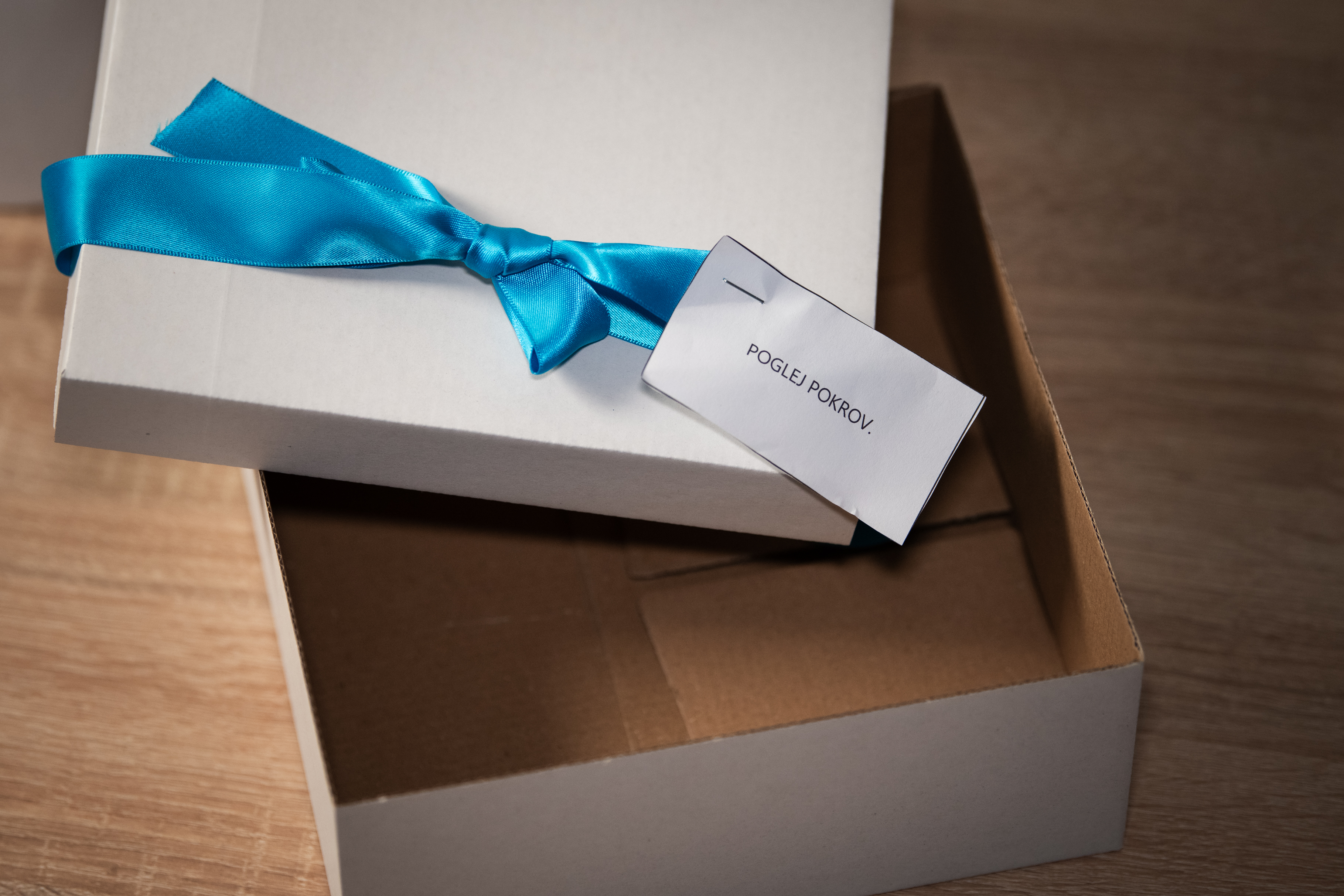 Zveza prijateljev mladine Ljubljana Moste-Polje