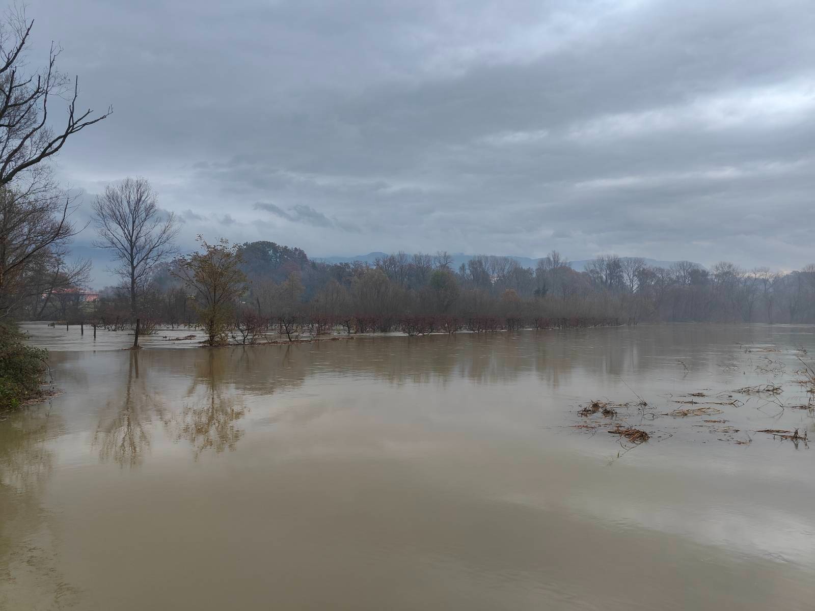 Narasla Vipava v Žabljah