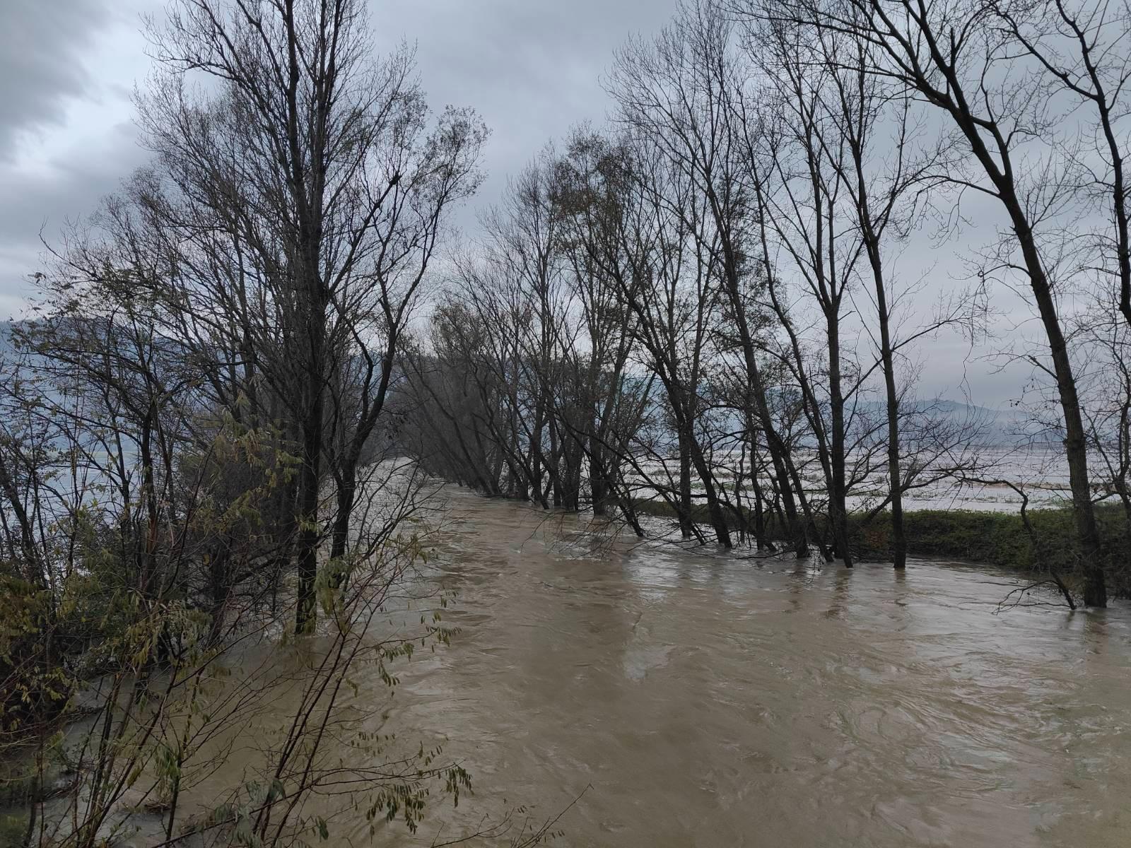 Narasla Vipava v Žabljah