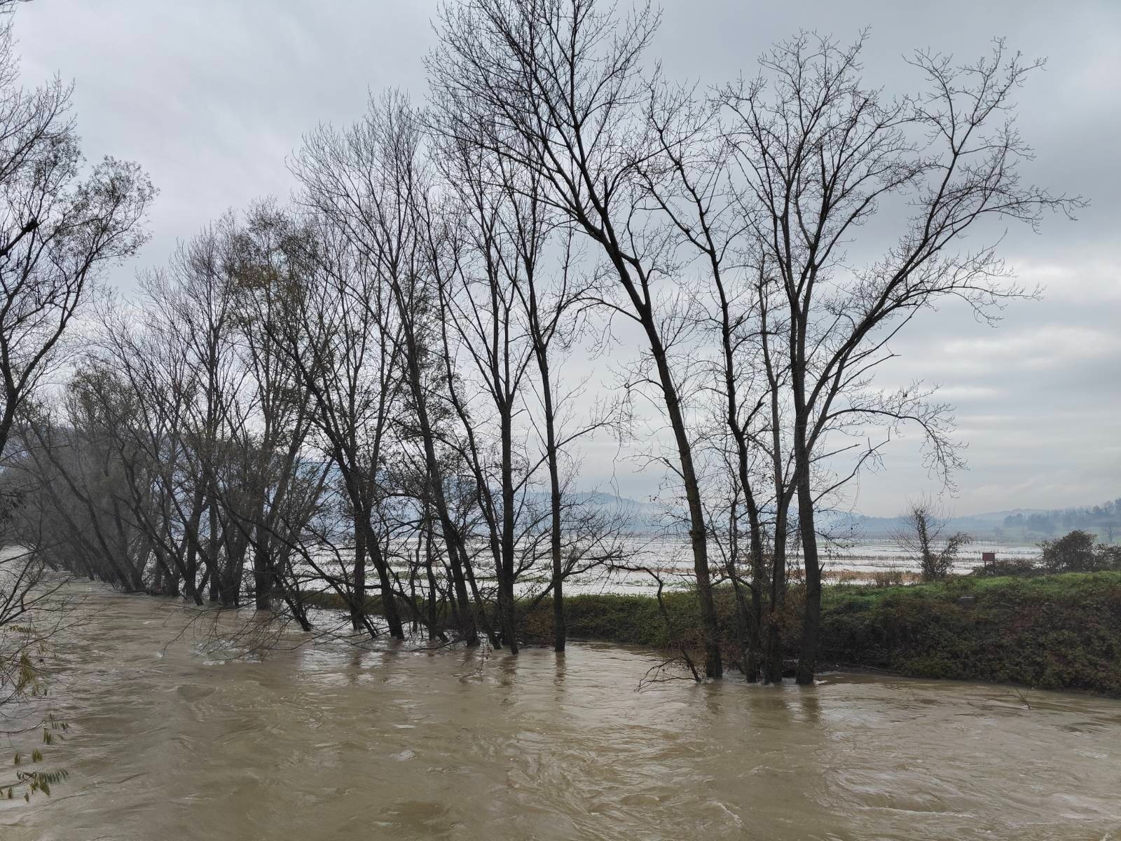 Narasla Vipava v Žabljah