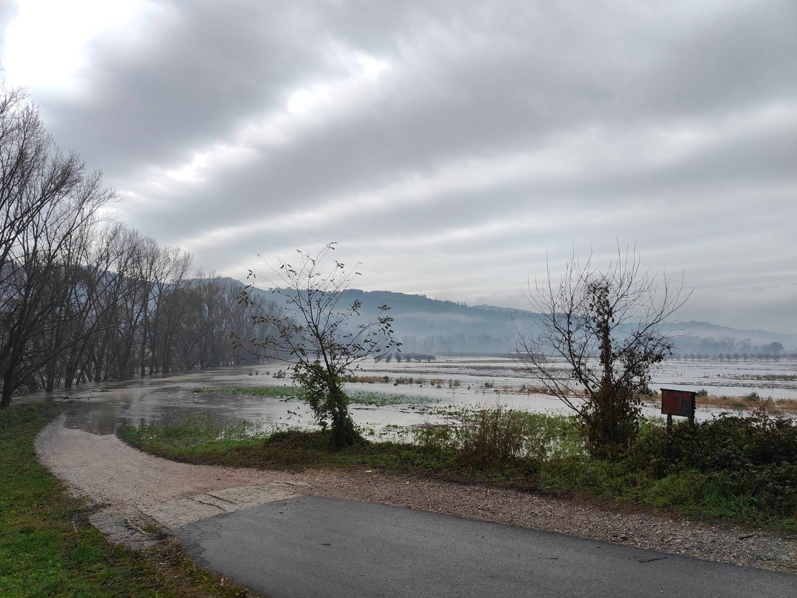 Narasla Vipava v Žabljah