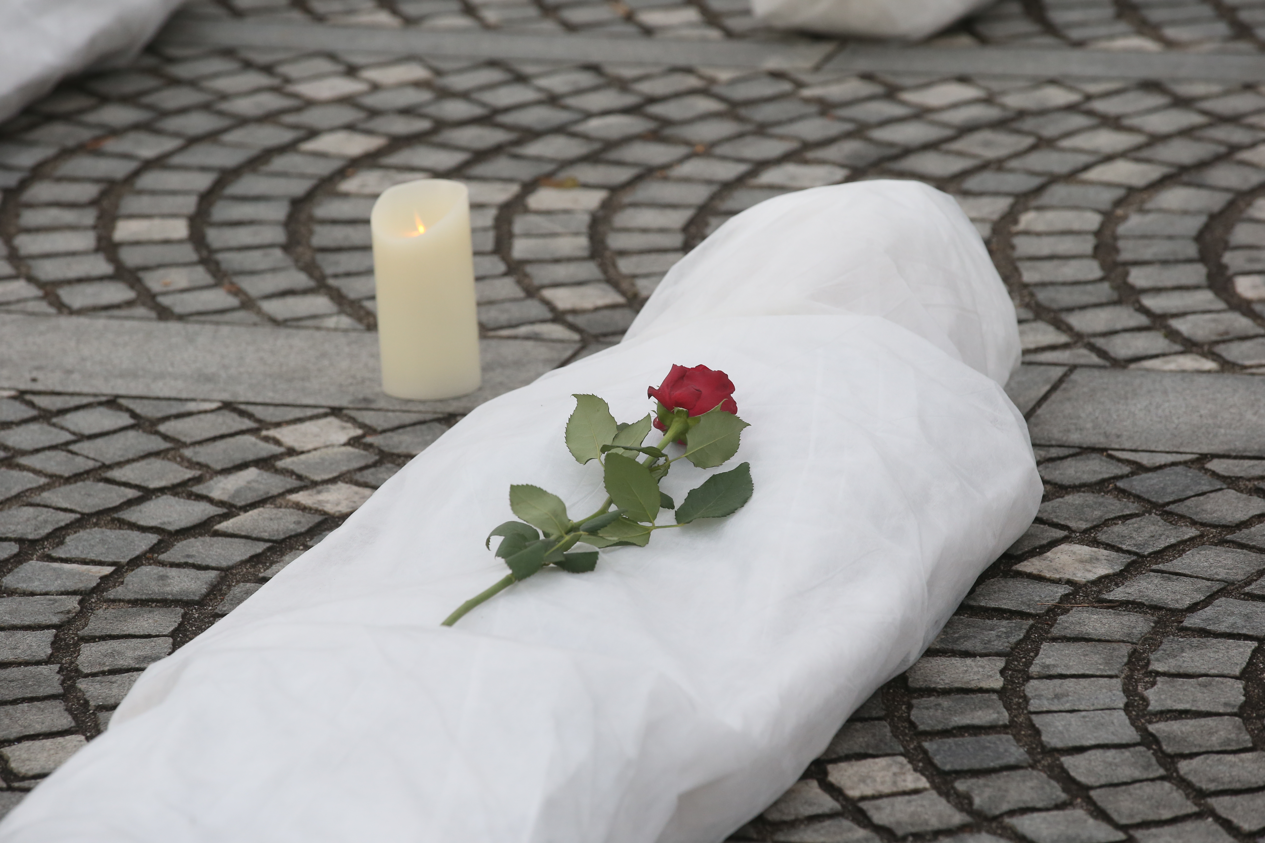 Foto: Borut Živulović/BOBO