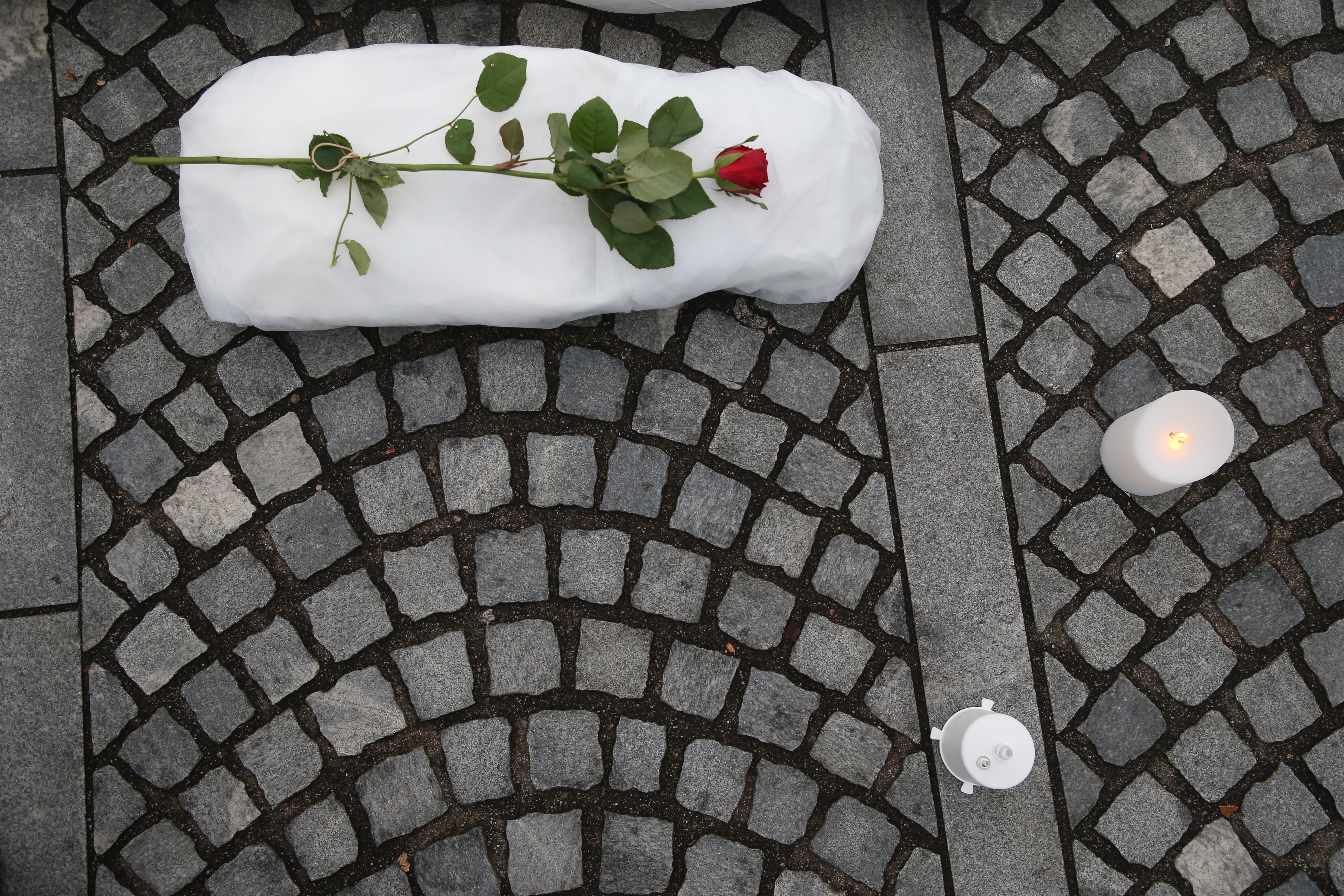 Solidarnostna akcija za premirje, Gaza, Izrael, amnesty international