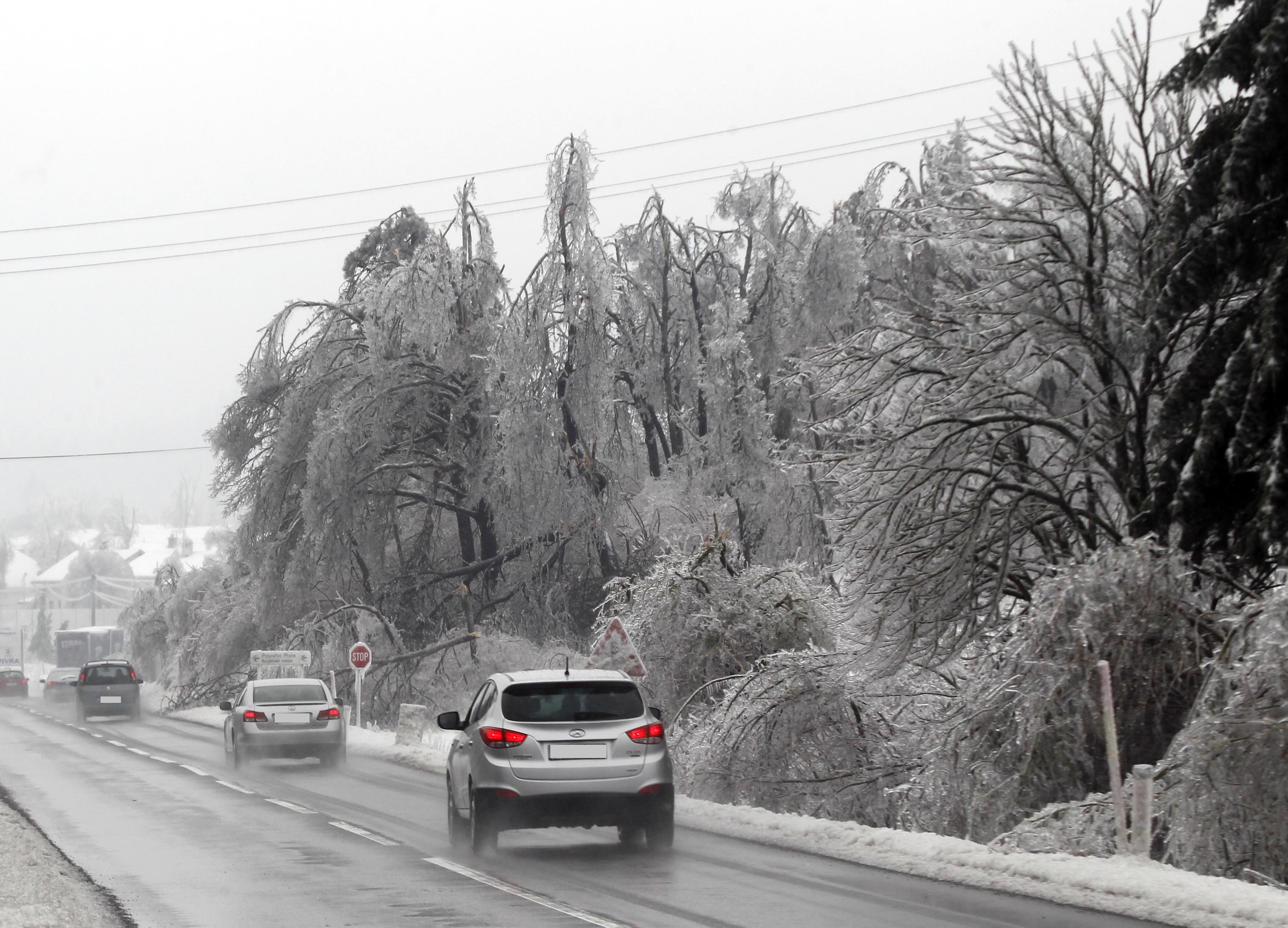 Vreme, sneg, poledica, žled