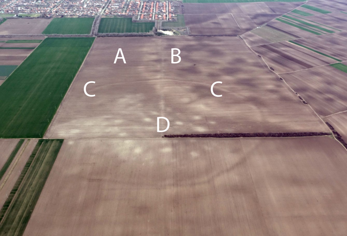 Srbija, Banat, arheologija, bronasta doba, naselje