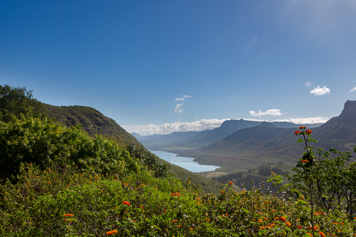 Pragozd na Mavriciju (Foto: PROFIMEDIA)