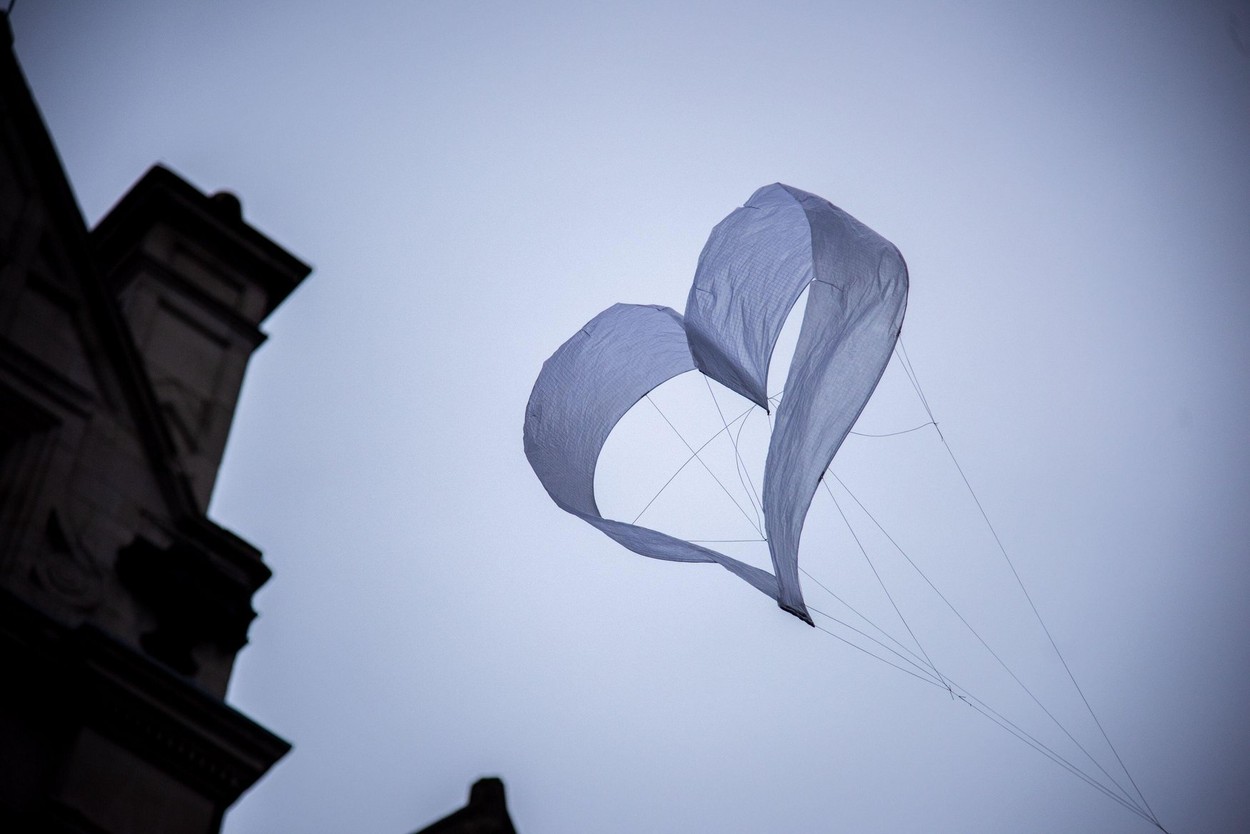 srce, solidarnost, sočutje