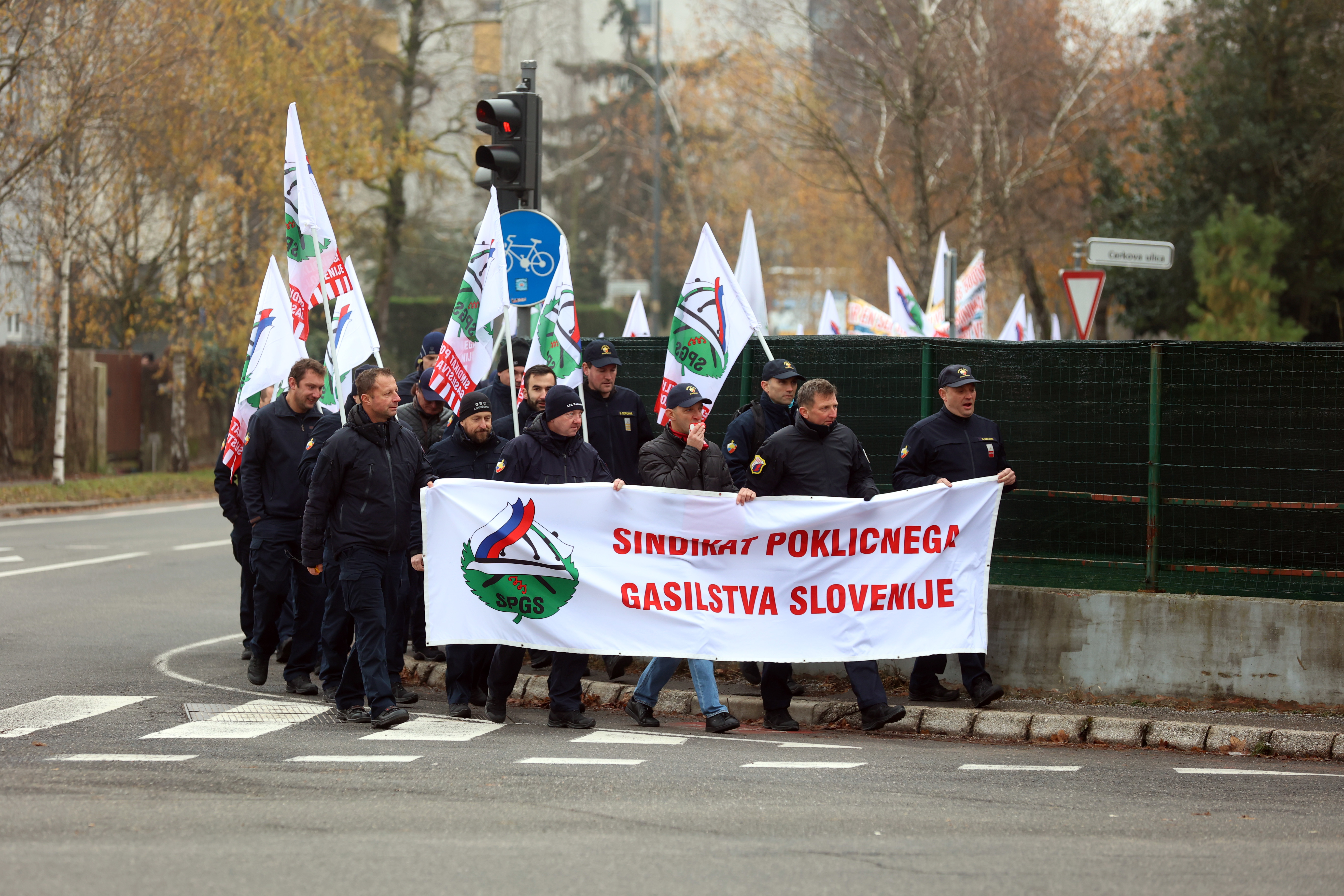 Protest poklicnih gasilcev (Foto: Borut Živulovič/BOBO)