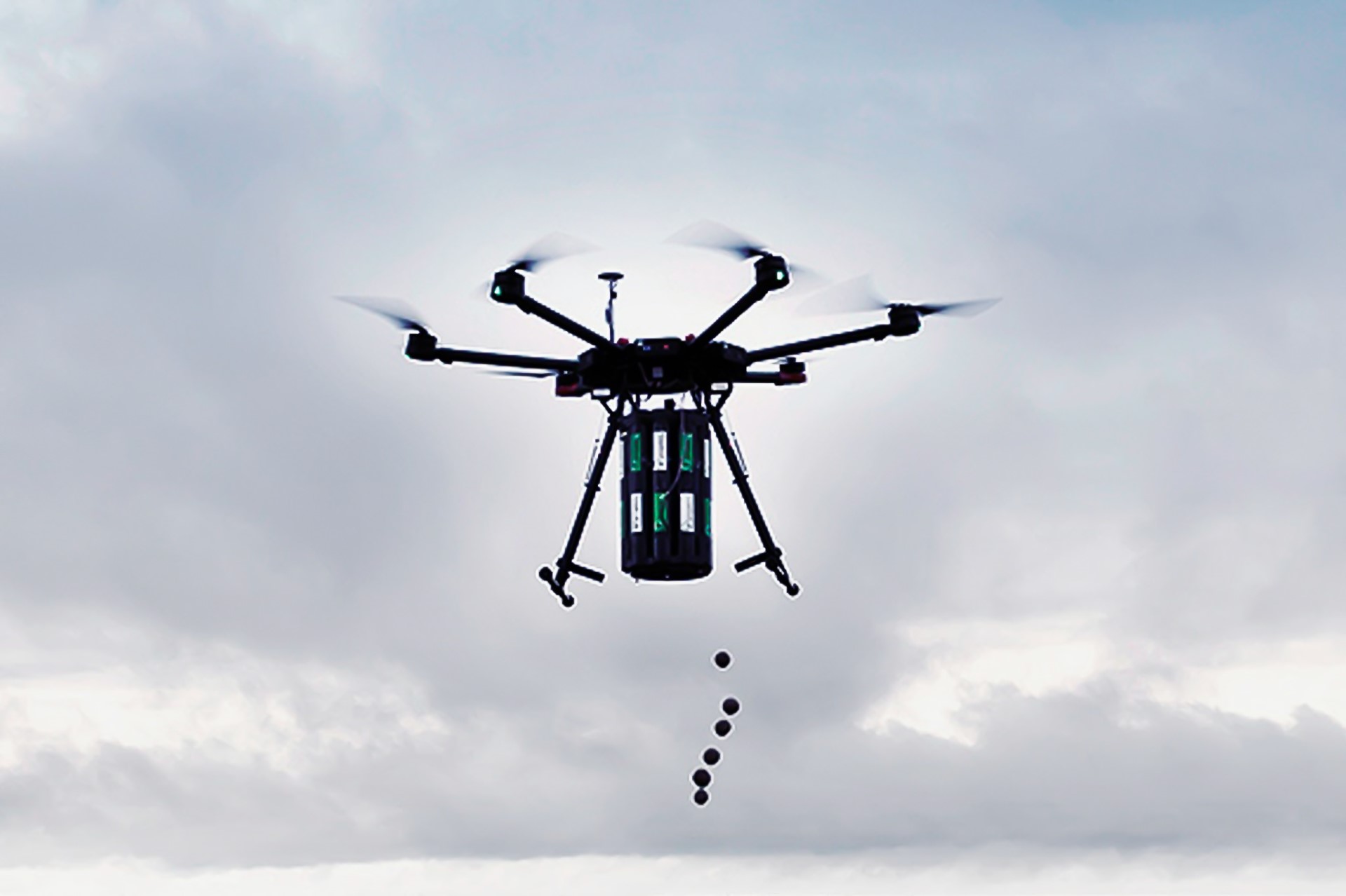 dron, semenske kroglice, požar na krasu, pogozdovanje